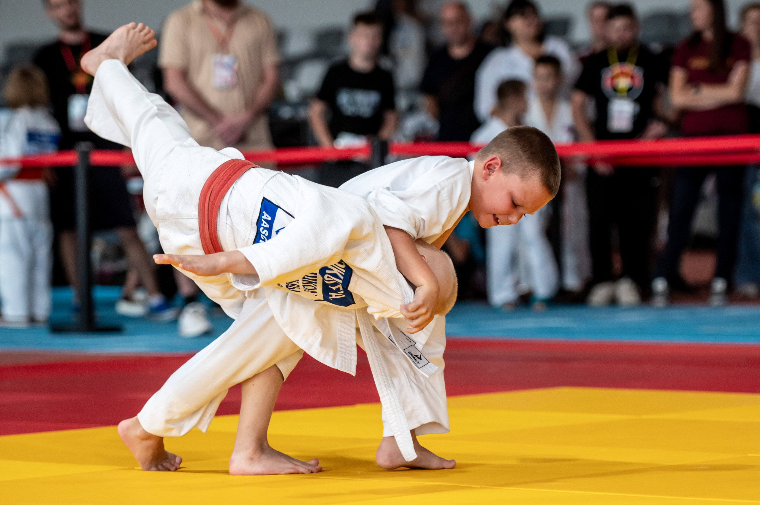 Турнир по дзюдо «Тульский левша», сентябрь 2024. Спортивный фотограф в Туле и Тульской области. Файсханова Фото Спорт