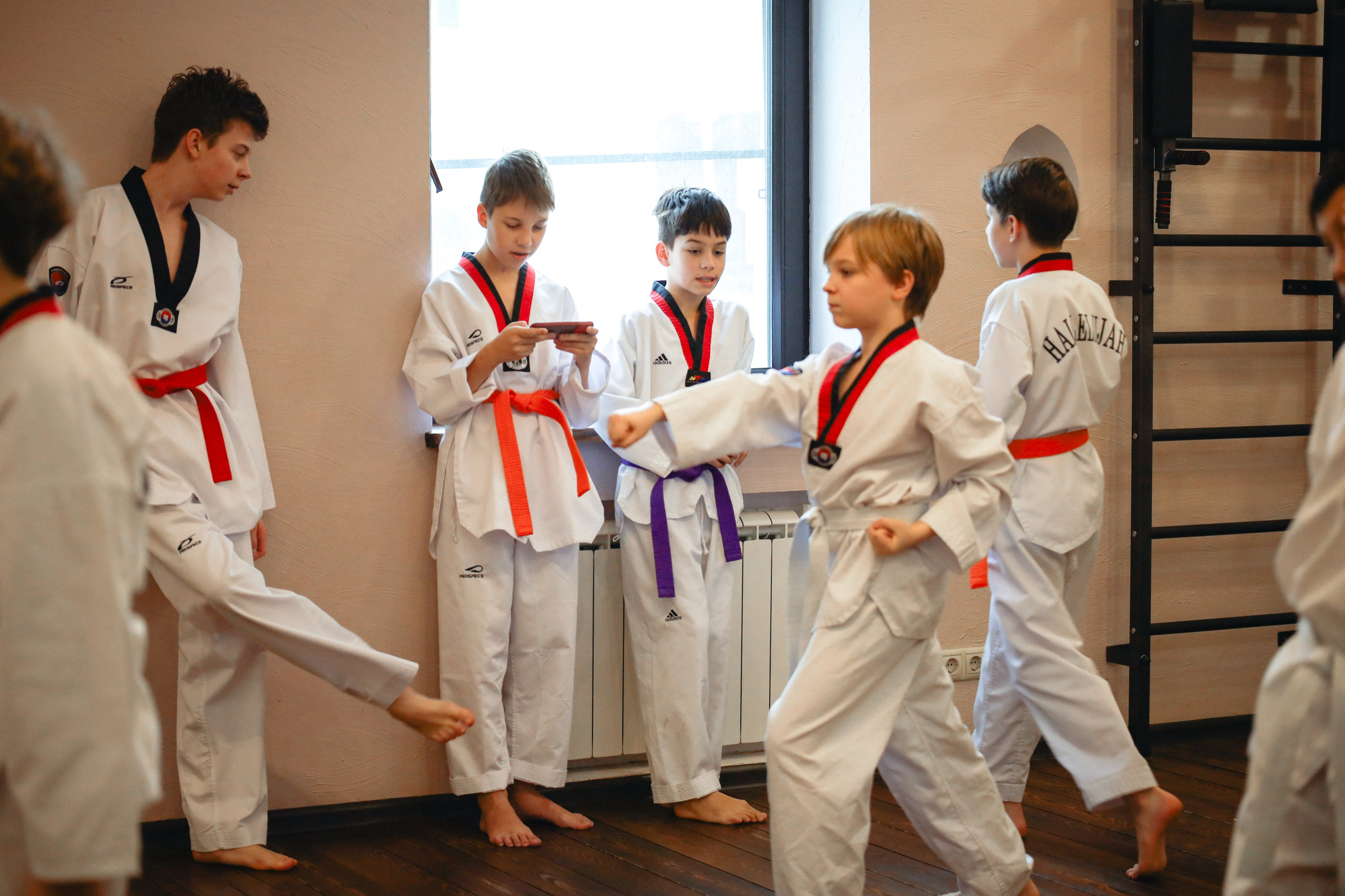 Тхэквондо Аттестация. Фотограф в Москве Бастракова Юлия