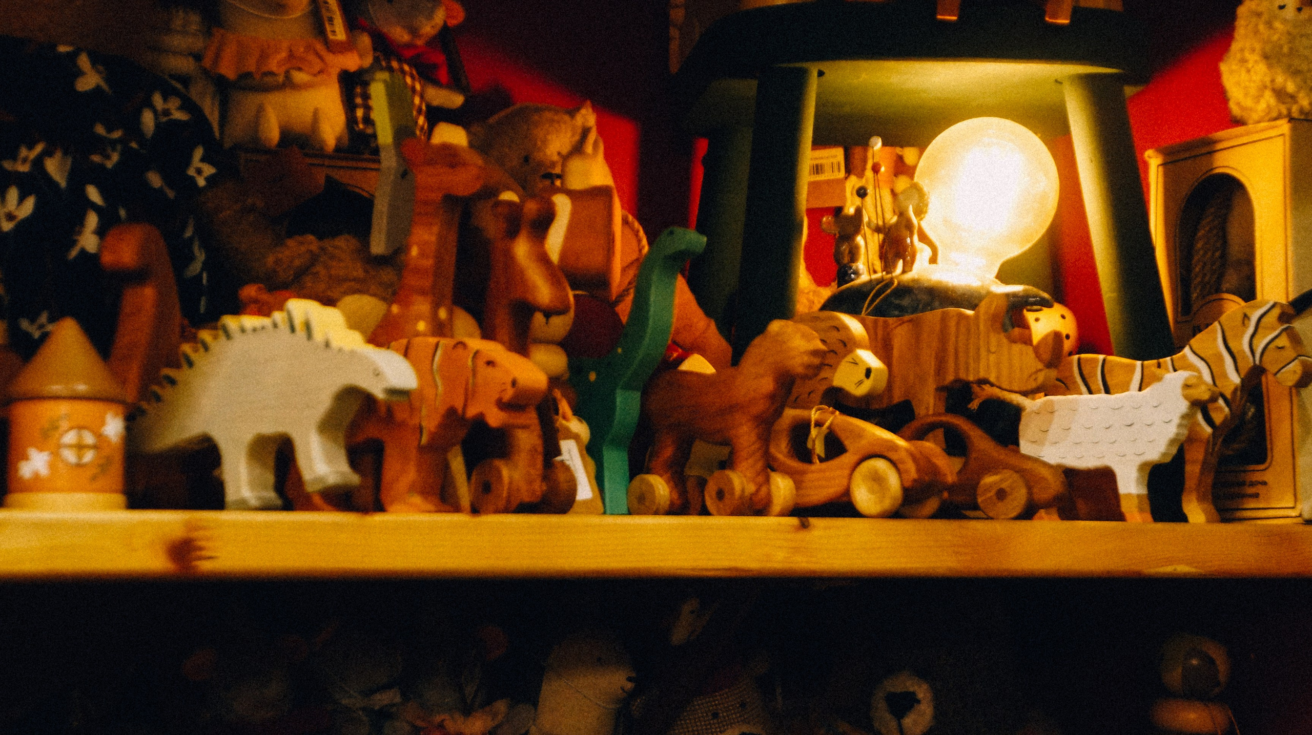 Цоля в Калининграде. Элька Мурзина