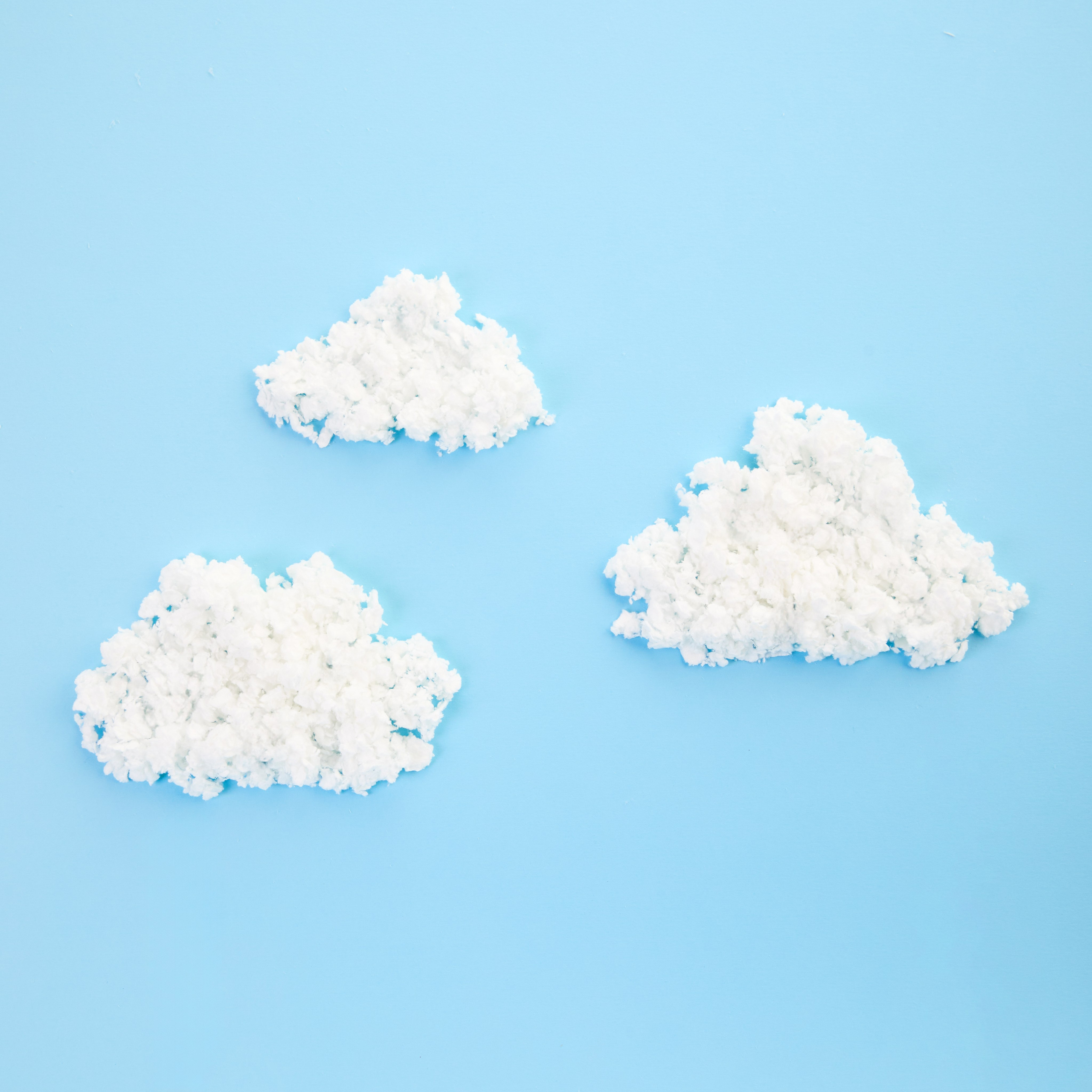 Предметная съемка товаров для животных. Съемка товаров для животных. Предметная съемка. Предметный фотограф Орехово-Зуево