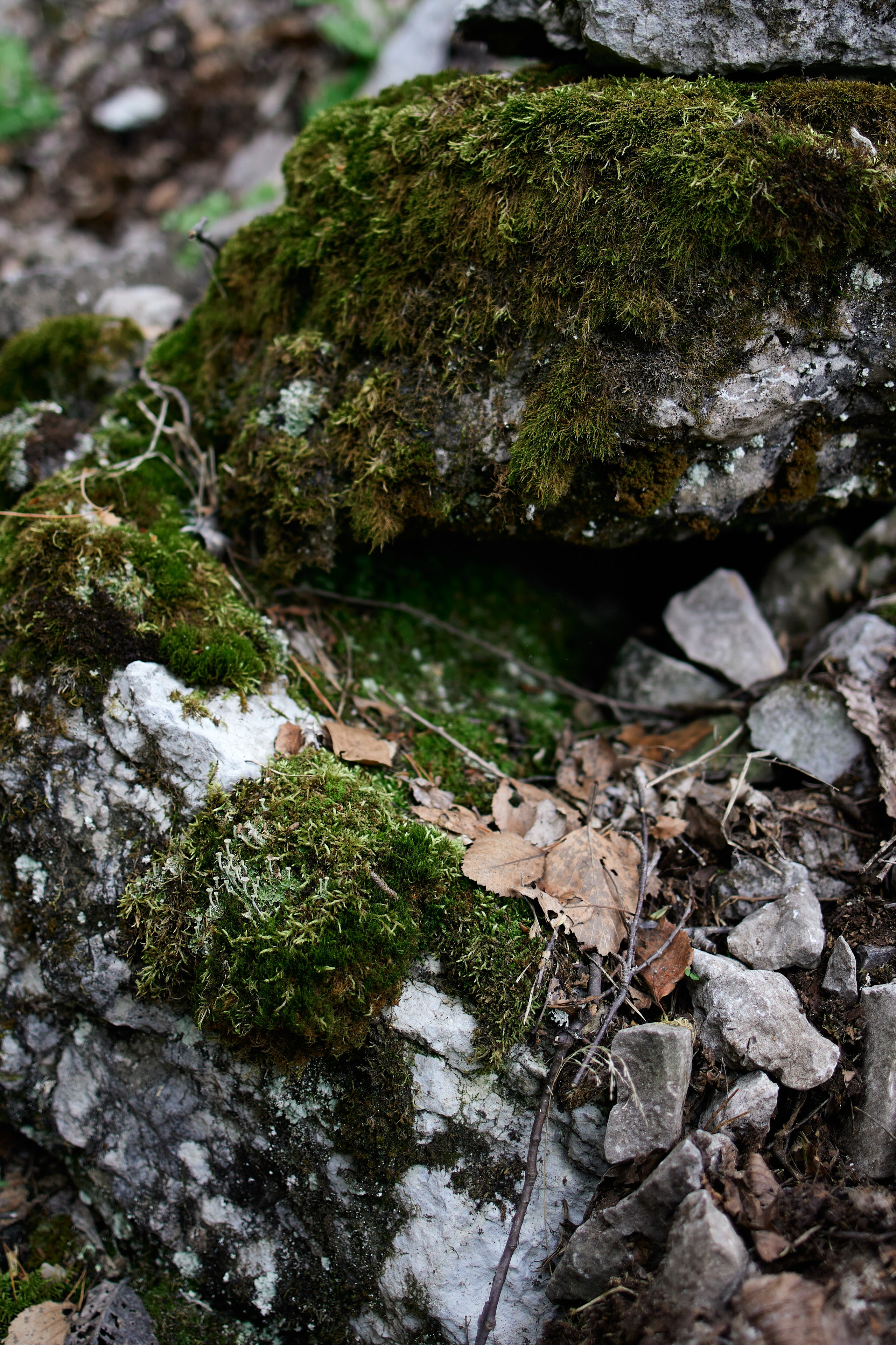 Сплав Нугуш. Хороший репортажный и промышленный фотограф в Казани Алексей Щелконогов