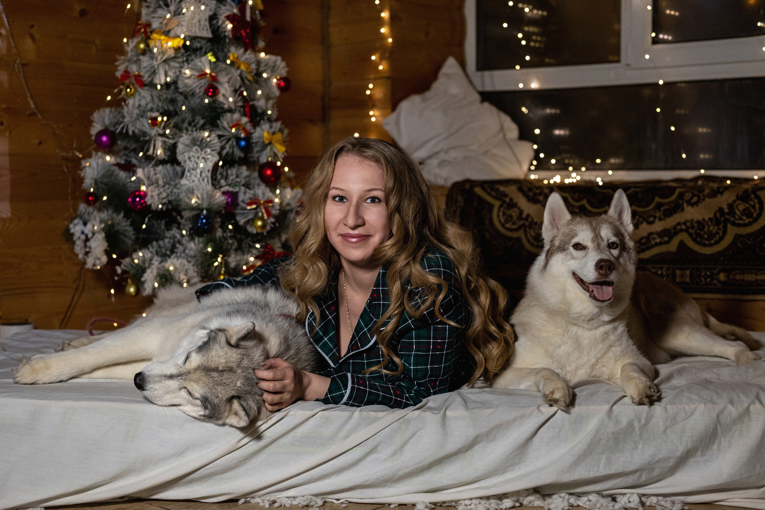 Фотопроект с хаски 2024 г. Фотограф в городе Салават