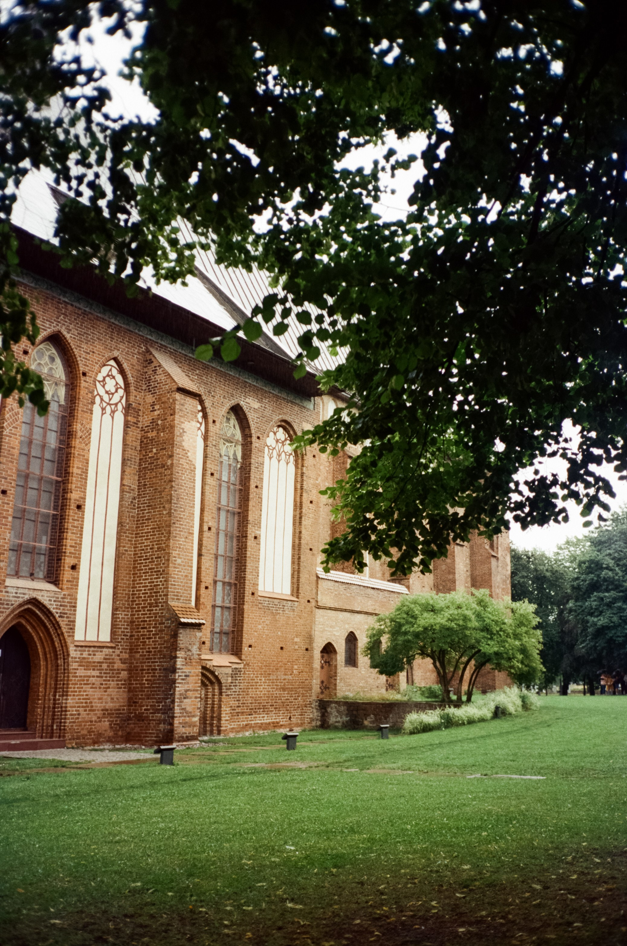 Культурная программа в дождливый день. Фотограф-документалист Мария Осокина