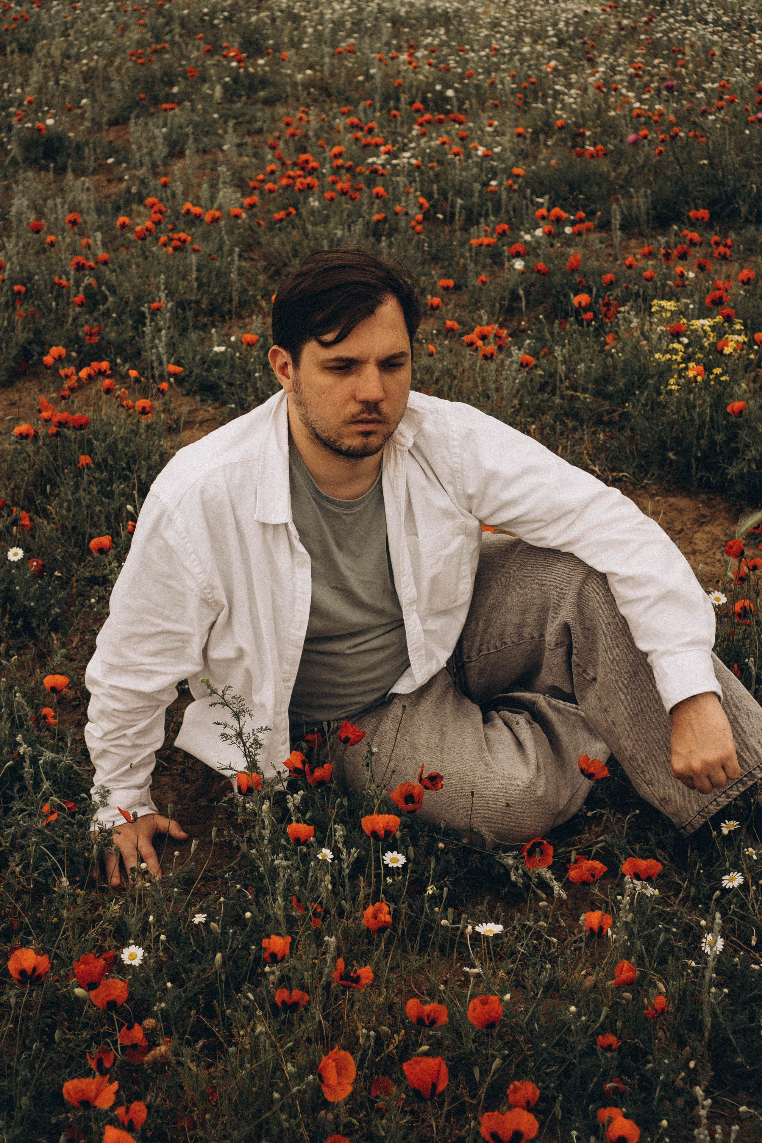 Маки. Профессиональный фотограф, Санкт-Петербург — Виктория Богомолова