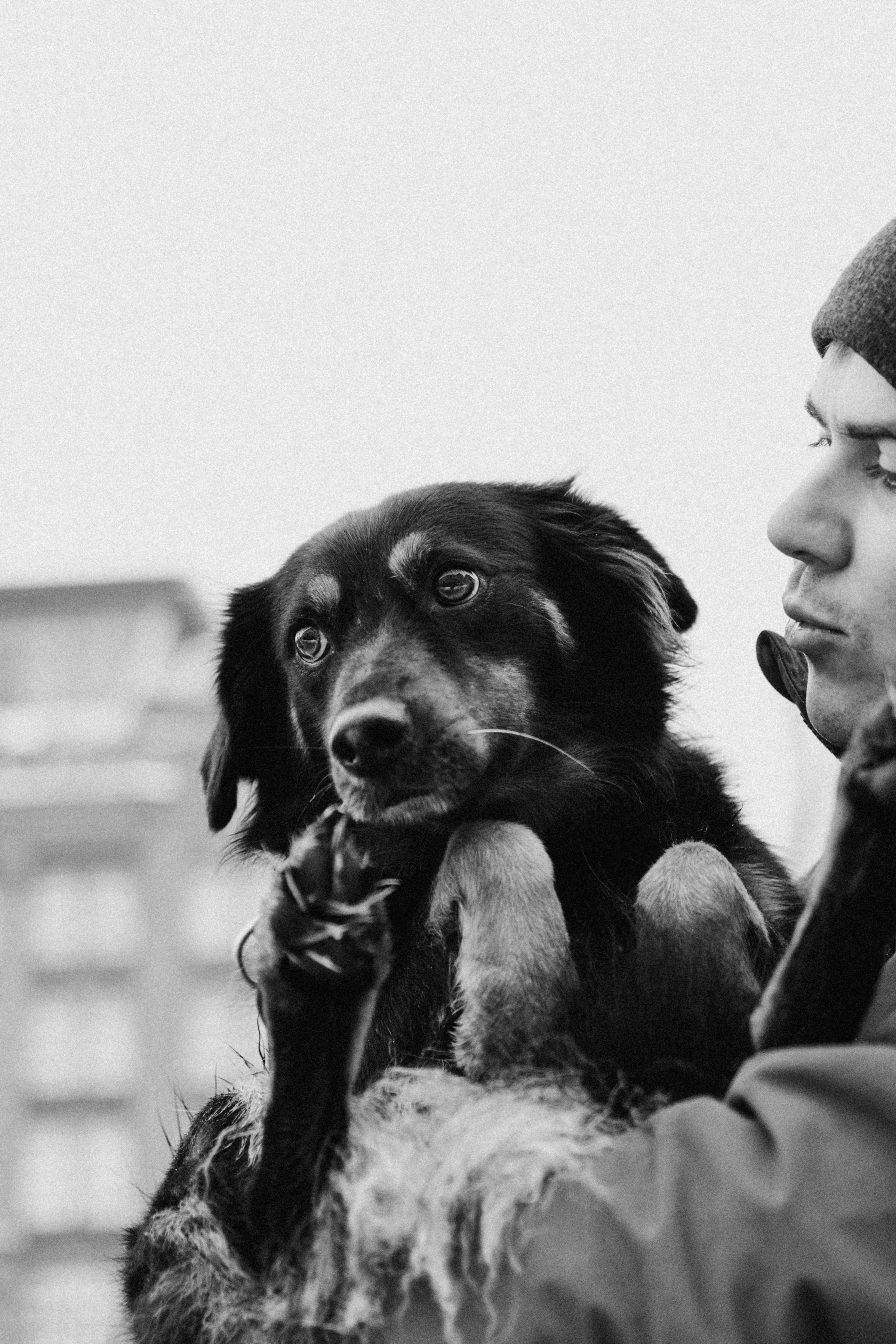 Саша, Ксюша и их банда. Фотораф — анималист Мария Шистка