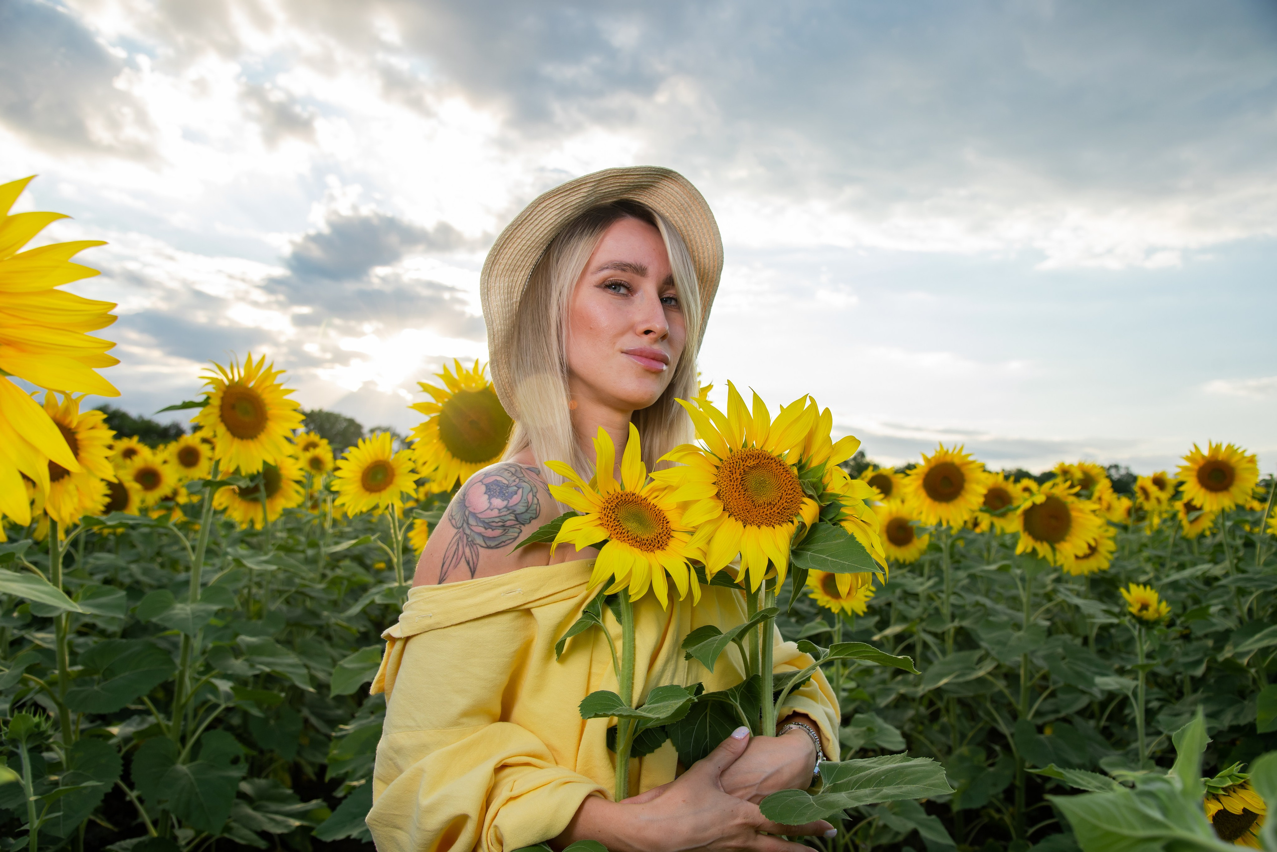 Подсолнух. Фотограф Галина Нестерова