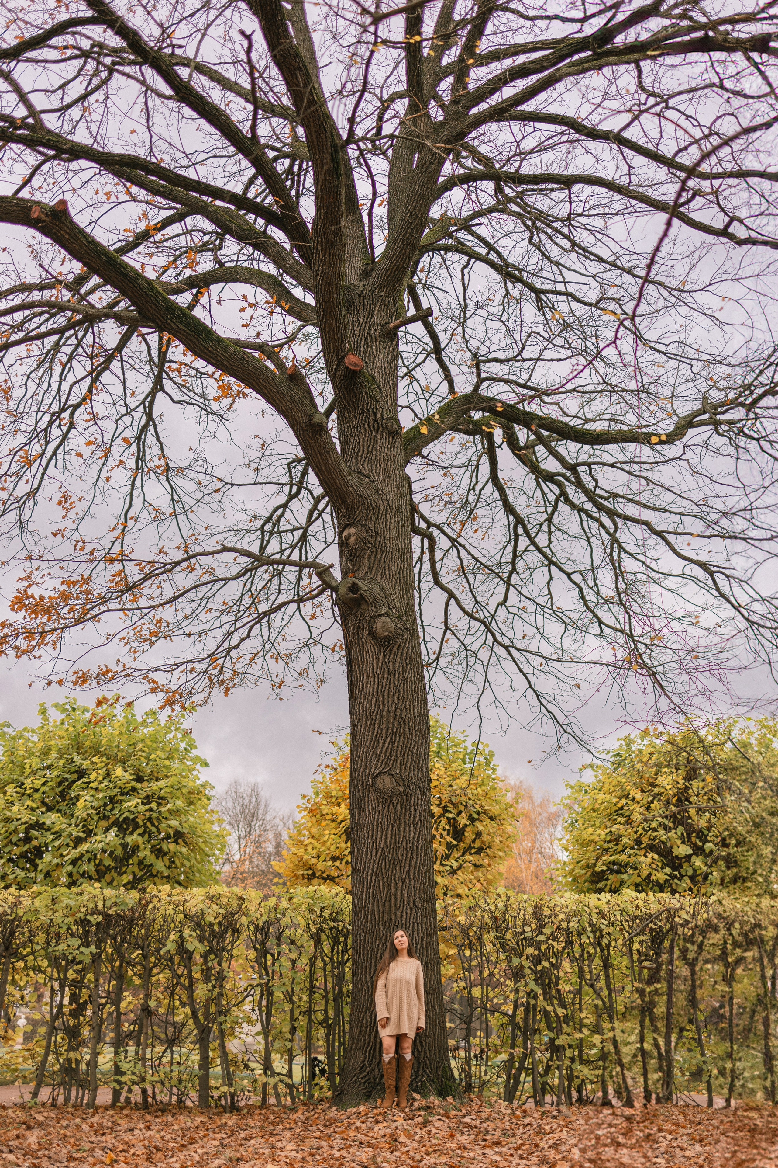 Индивидуальные фотосессии. Портретный и лайфстайл фотограф в Москве, Московской области и Казани Алёна Серебренникова
