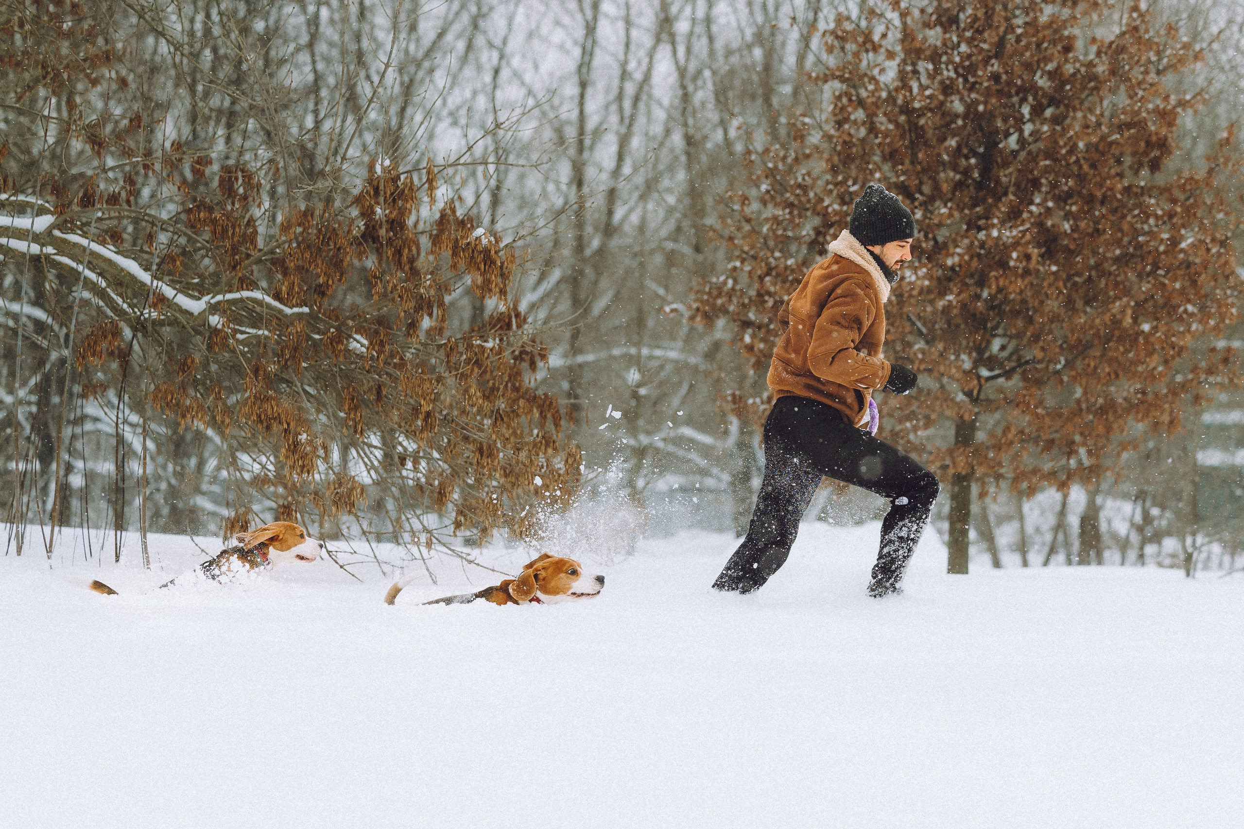 Роман, Портер и Коррес