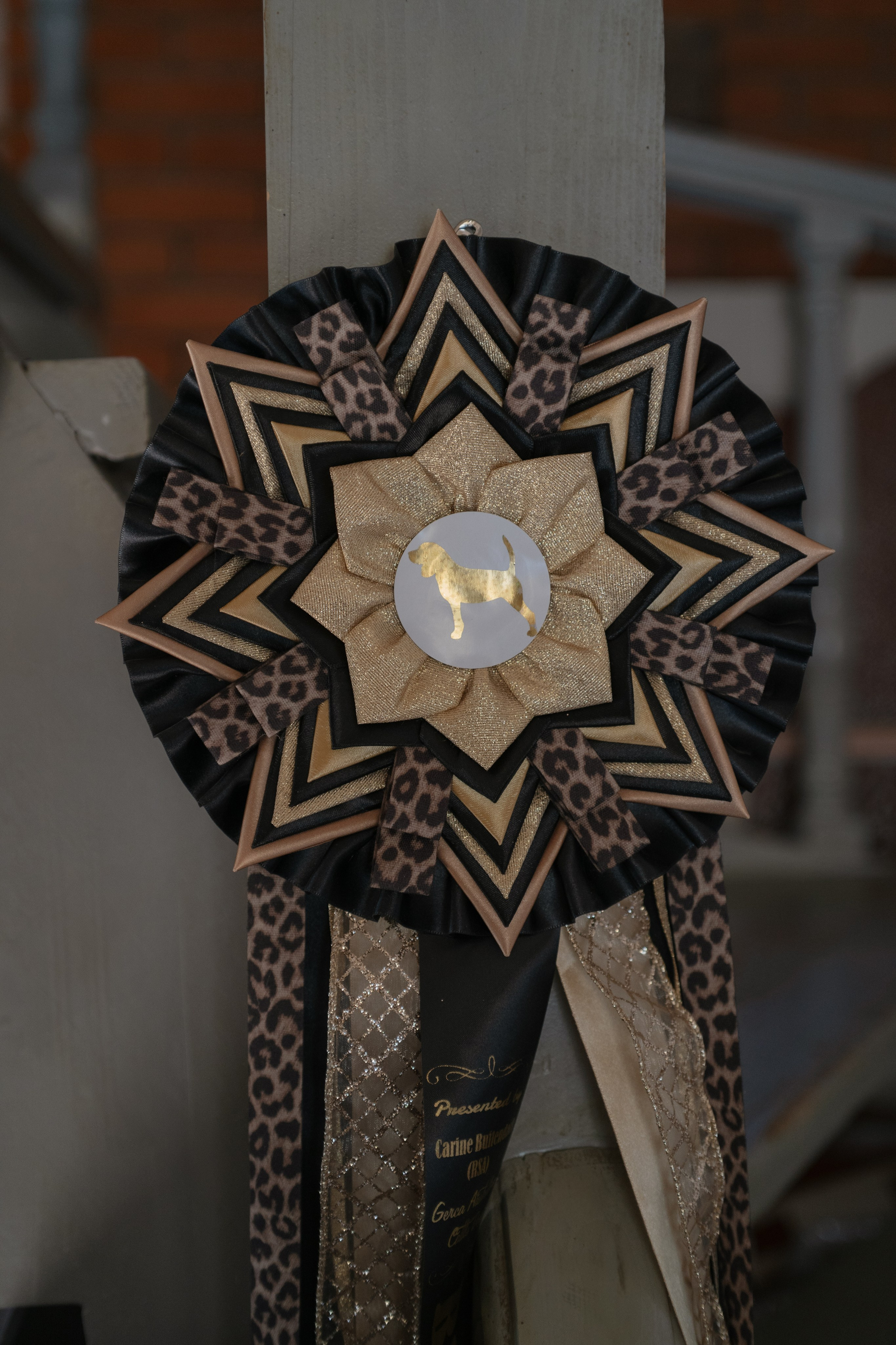 Маша, бигль Вера и её ферма. Семейный фотограф в Москве Алёна Чача