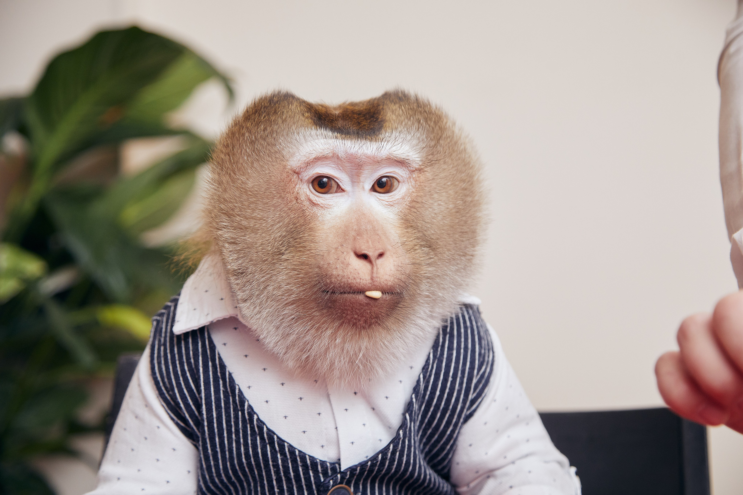 Катя — 2 года. Репортажный фотограф в Москве Константин Дерягин