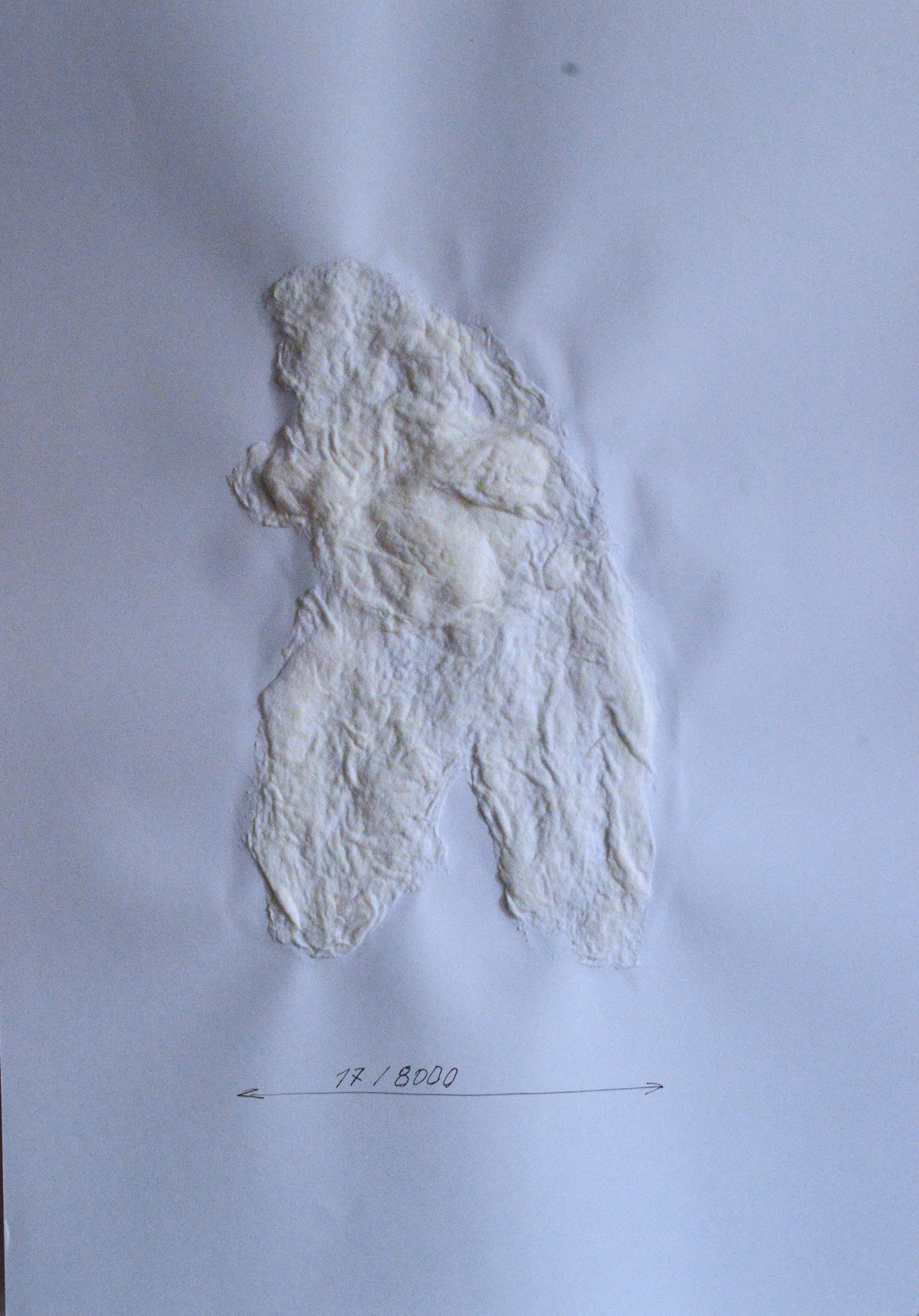 «8000 женщин» 2025. Лилия Ким. Междисциплинарный художник