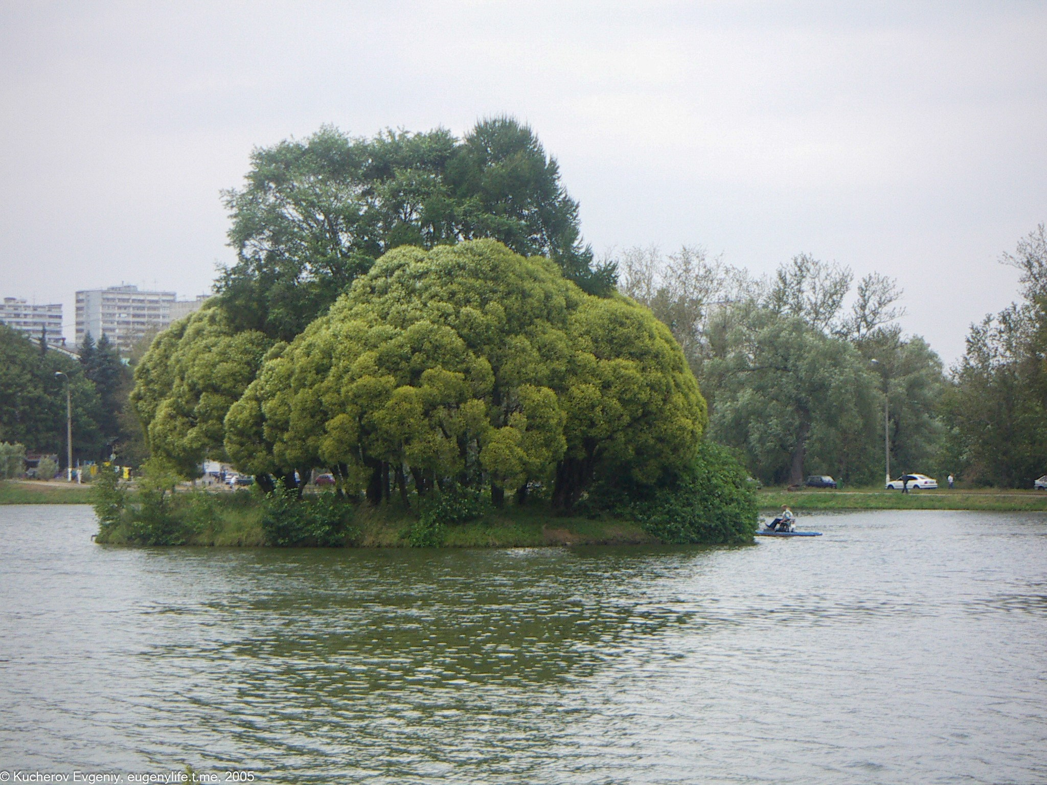 Август 2005. Царицыно. Кучеров Евгений. Фотограф