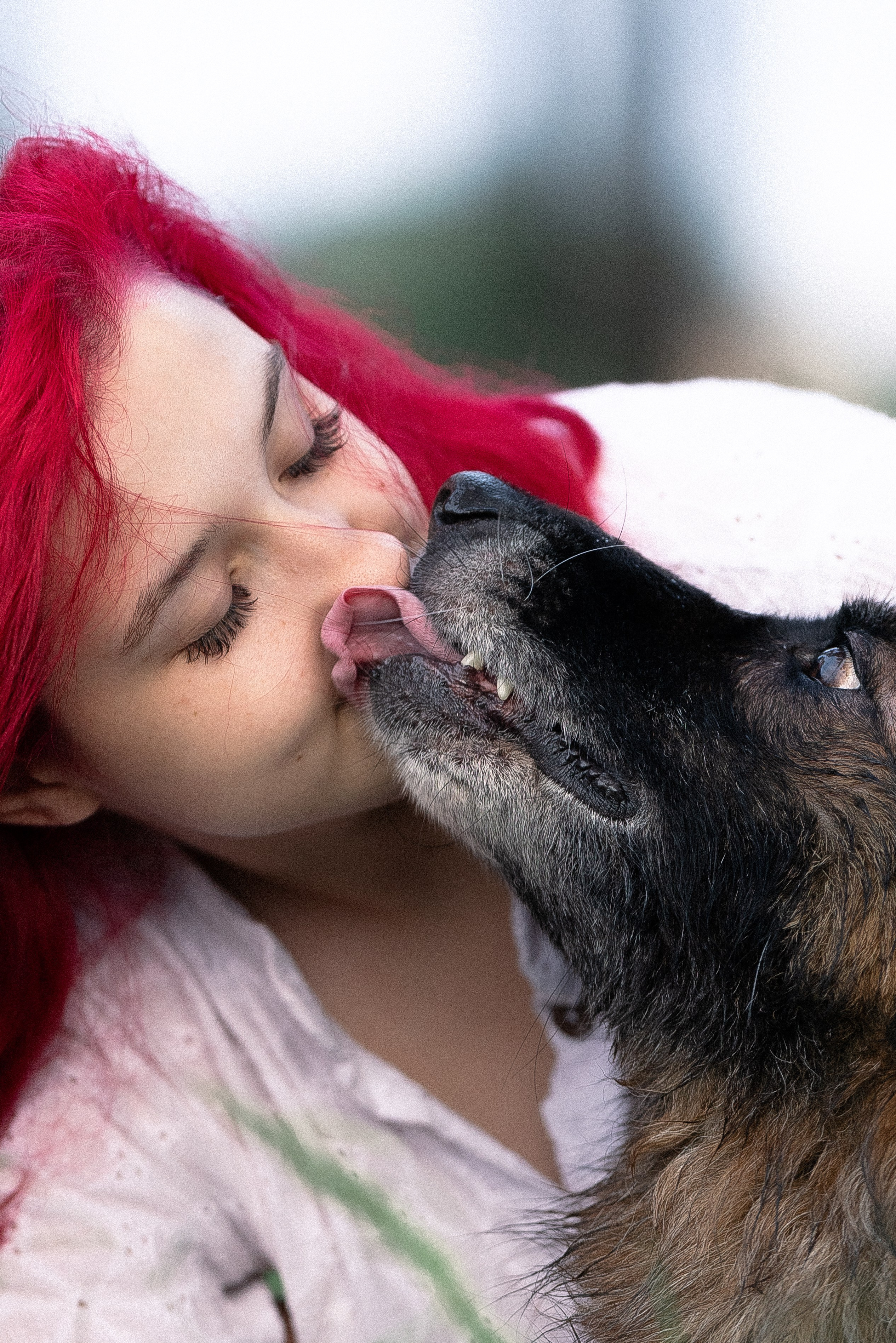 Алена, Фанни и Фрея. Фотограф и видеограф анималист Аганина Дарья