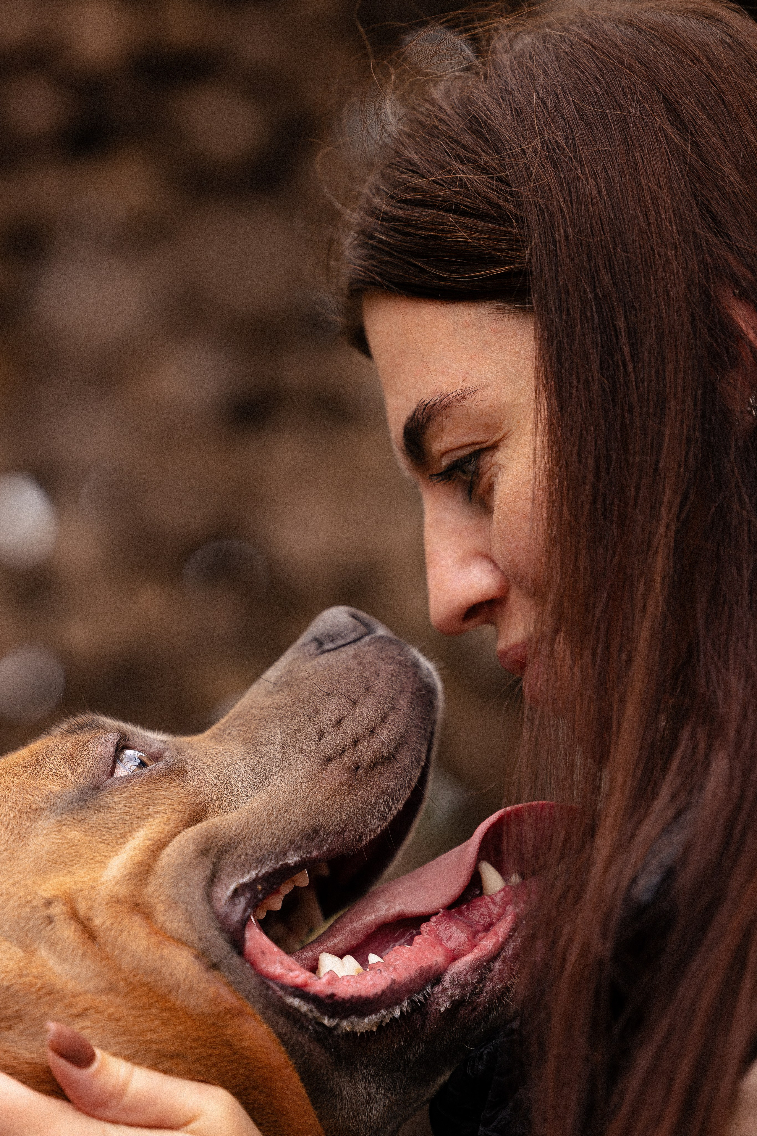 Алена и Тор. Фотограф и видеограф анималист Аганина Дарья