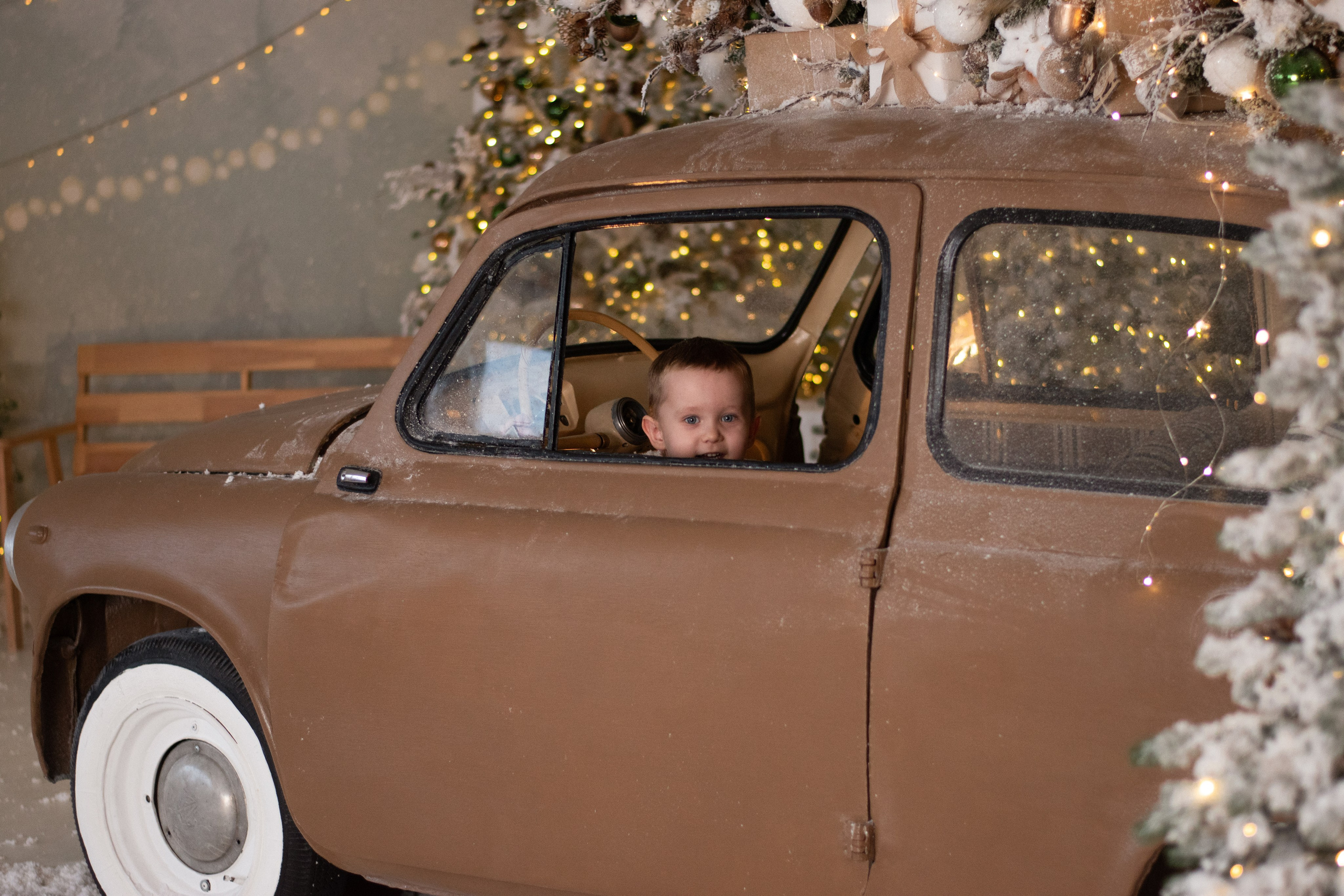 Новогодняя фотосессия. Фотограф в Новосибирске Фальман Полина