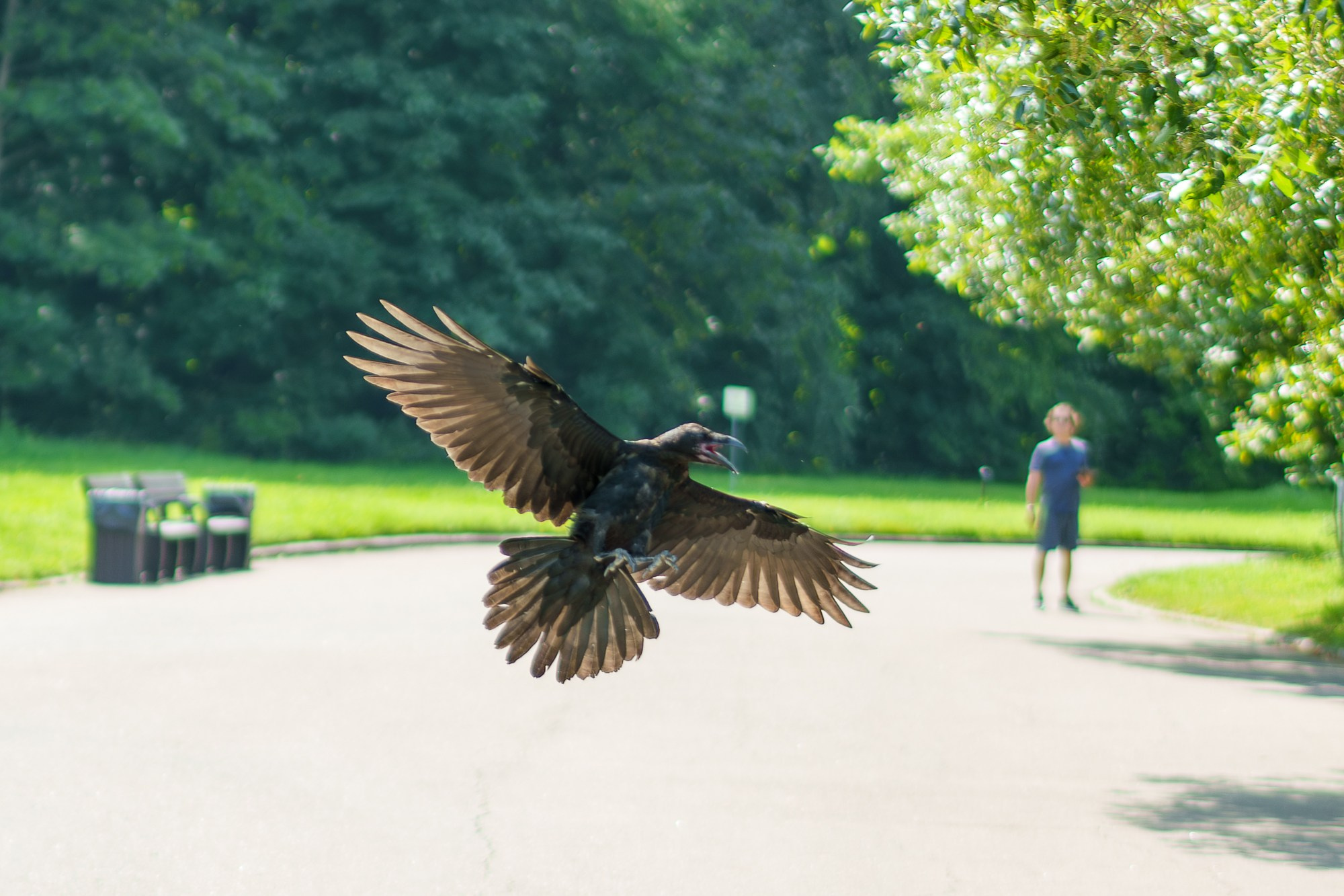 Удивительные мир птиц. Вокруг нас столько прекрасного — присмотритесь!. Ваш личный фотограф Марина Волкова