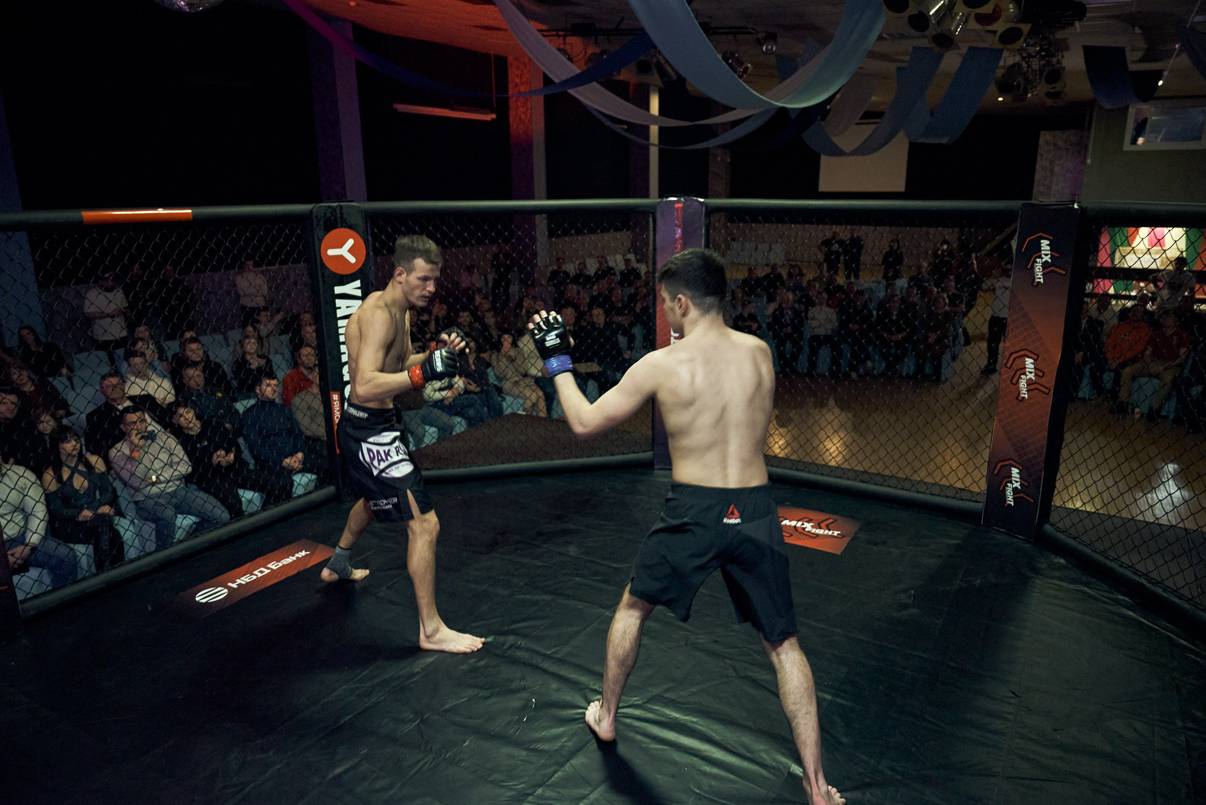 Бои. Маляревич Дмитрий свадебный фотограф