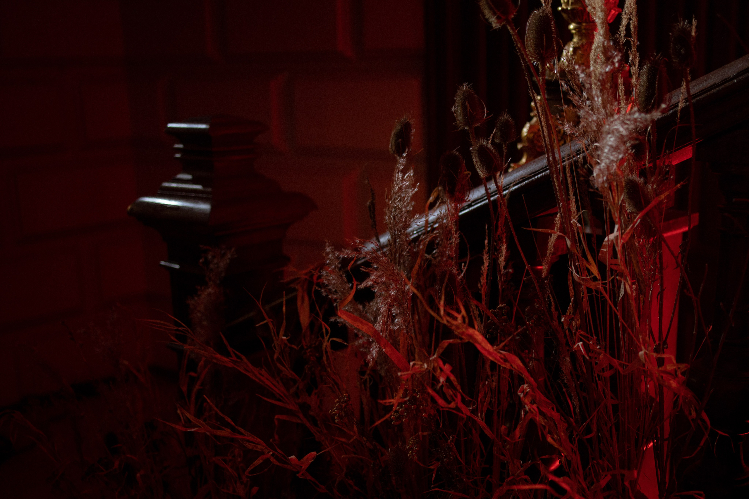 Новогодний корпоратив в фольклорном стиле. Особняк Лемана. Оформление свадеб, декор свадеб Вера Маркова, Москва