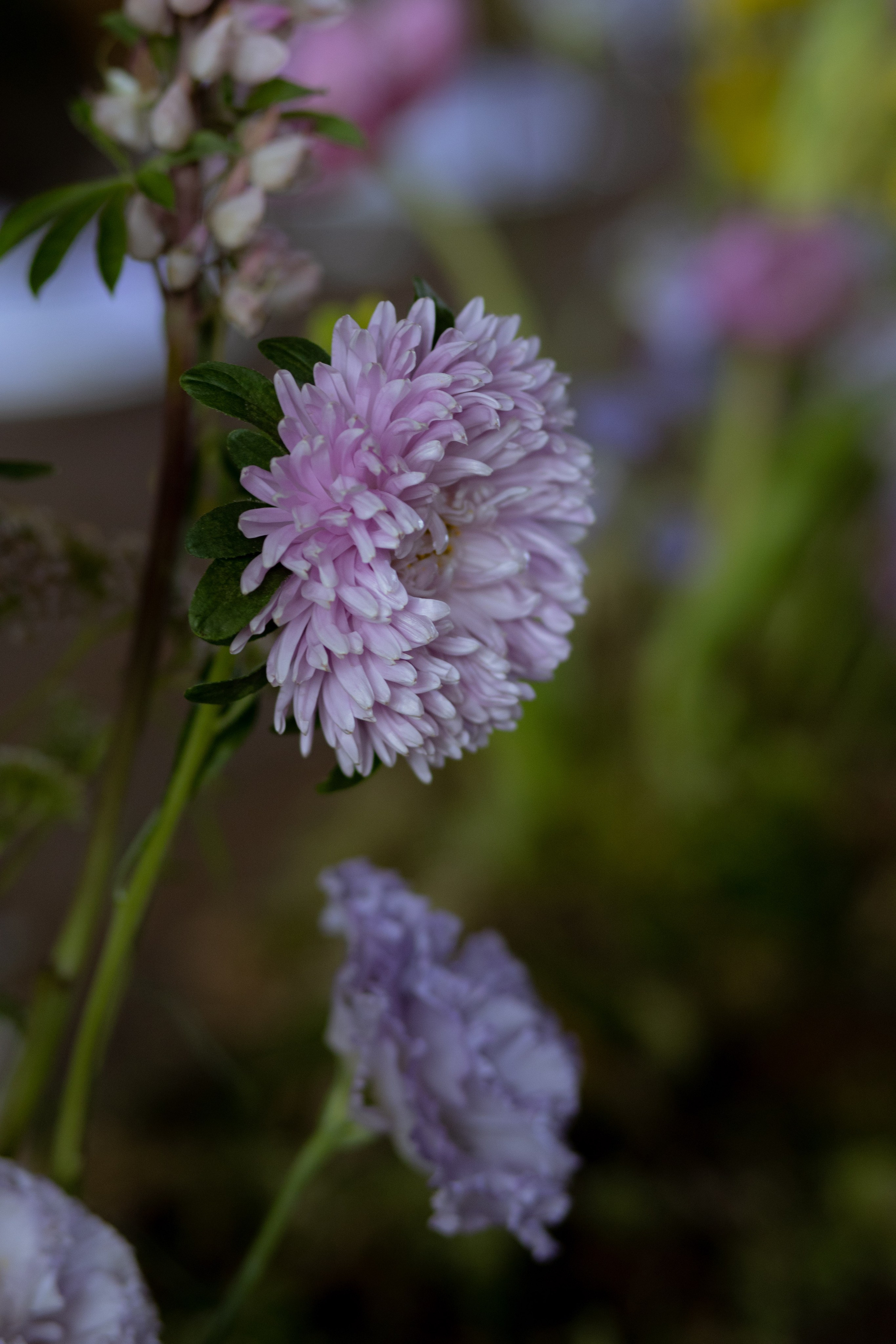Павел & Полина. Оформление свадеб, декор свадеб Вера Маркова, Москва