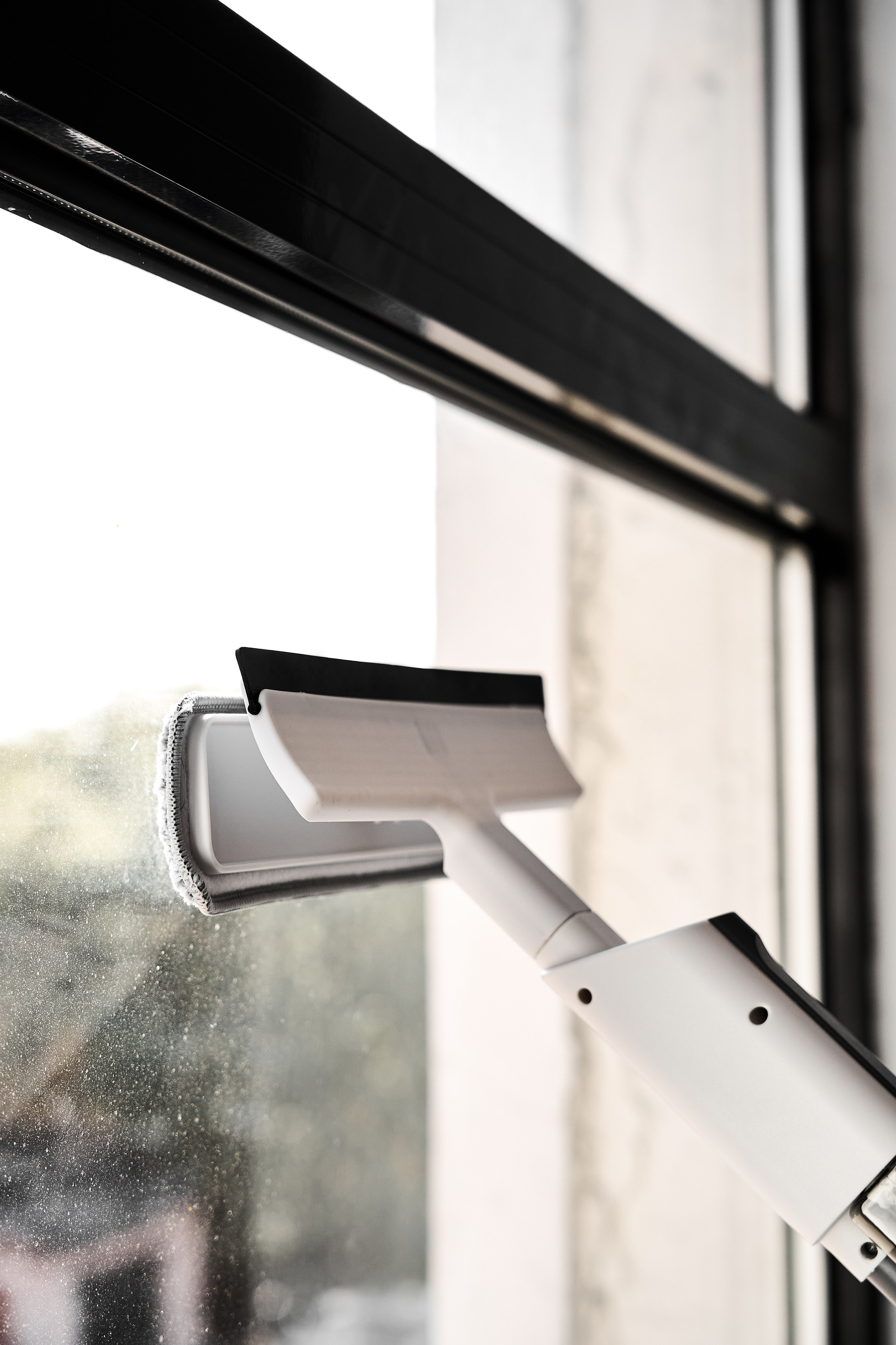 White cat. Фотограф в Москве Казакова Анна