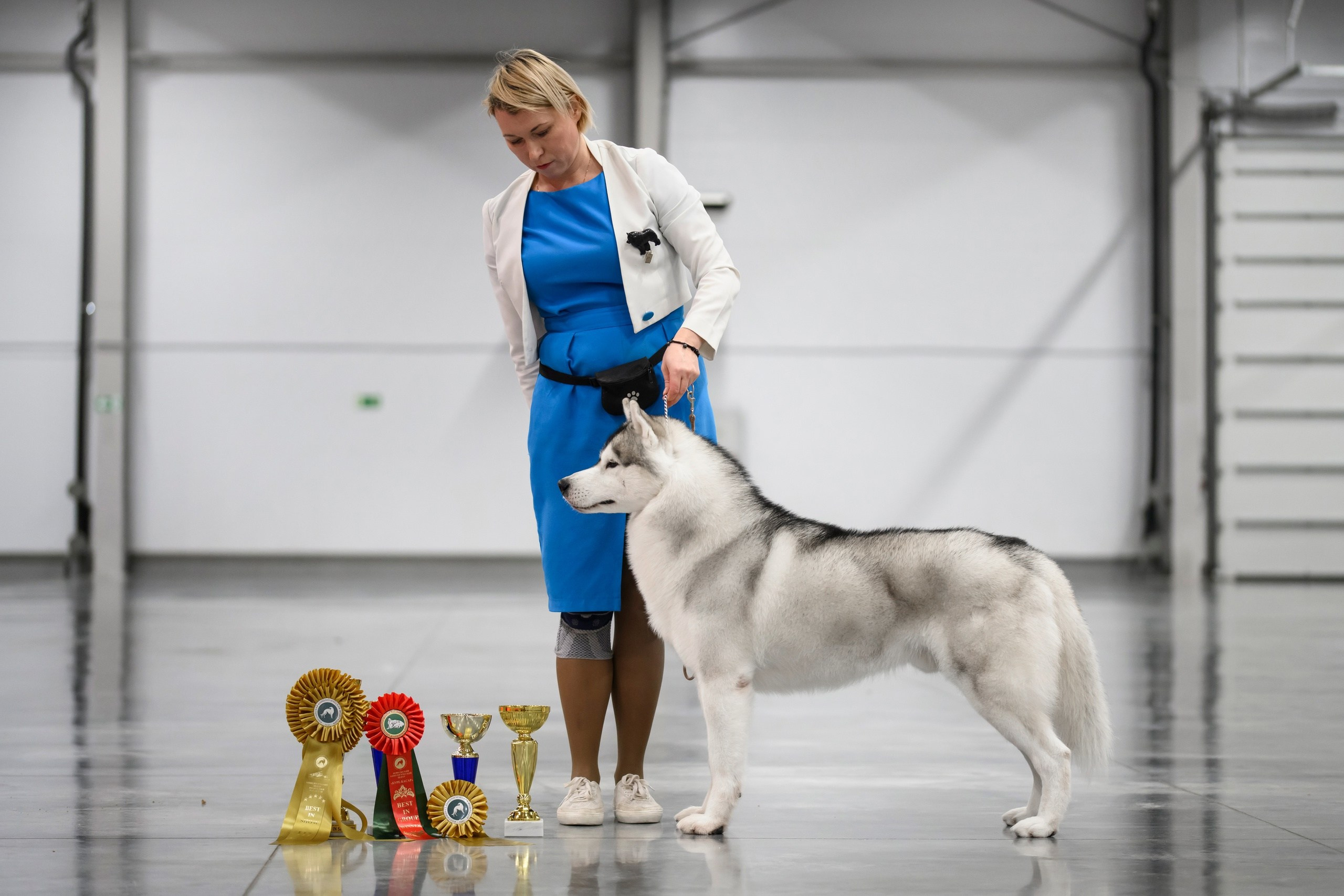 Собаки. FASHION ФОТОГРАФ КАЗАНЬ