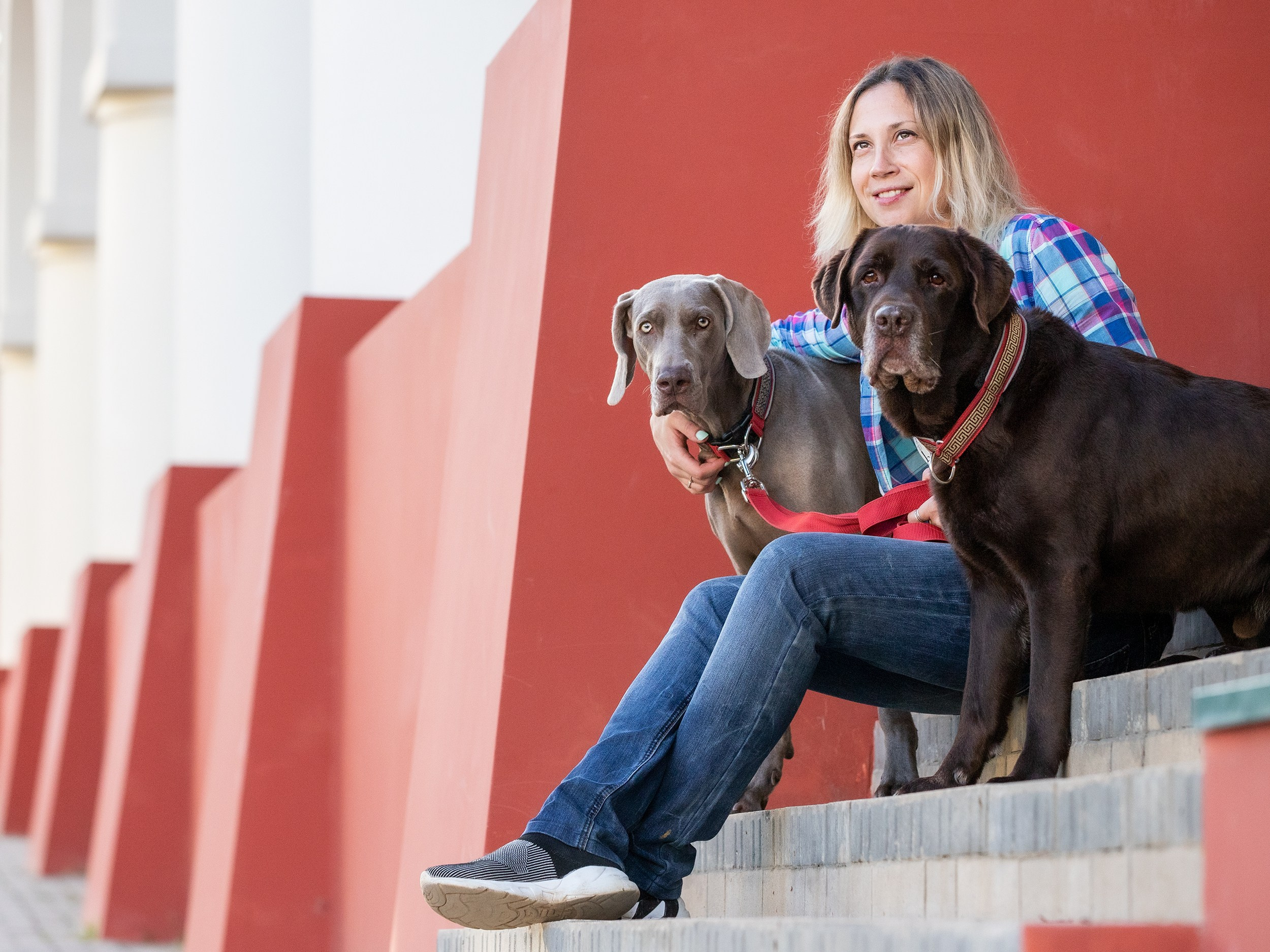 Оля, Джек и Айса. Фотограф-анималист в Калуге Мария Шерскова