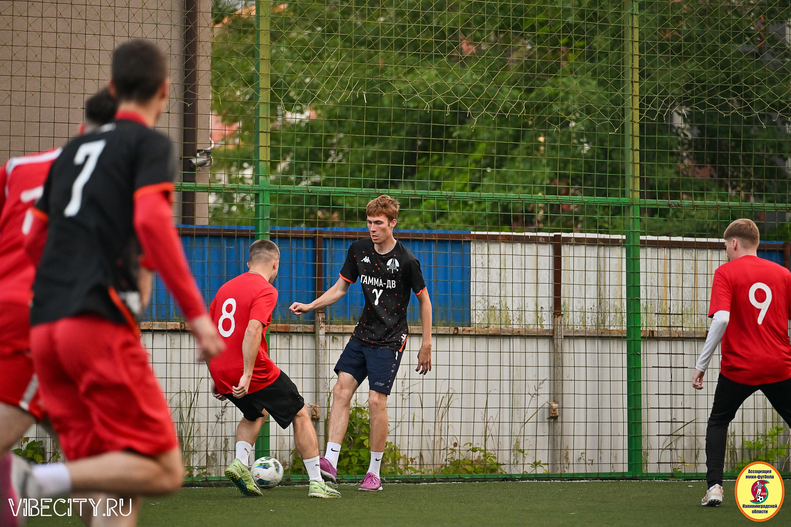ИГРЫ ПЛЕЙ-ОФФ ПЕРВОГО ДИВИЗИОНА МИНИ-ФУТБОЛЬНОЙ ЛИГИ. VIBECITY.RU Вайб Сити Ру Фоторепортажи Фотоотчеты Калининград