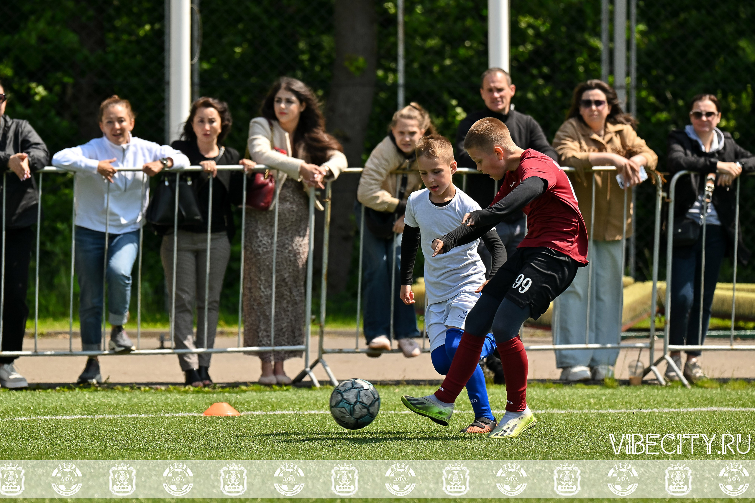 Большие Звезды светят Малым. VIBECITY.RU Вайб Сити Ру Фоторепортажи Фотоотчеты Калининград