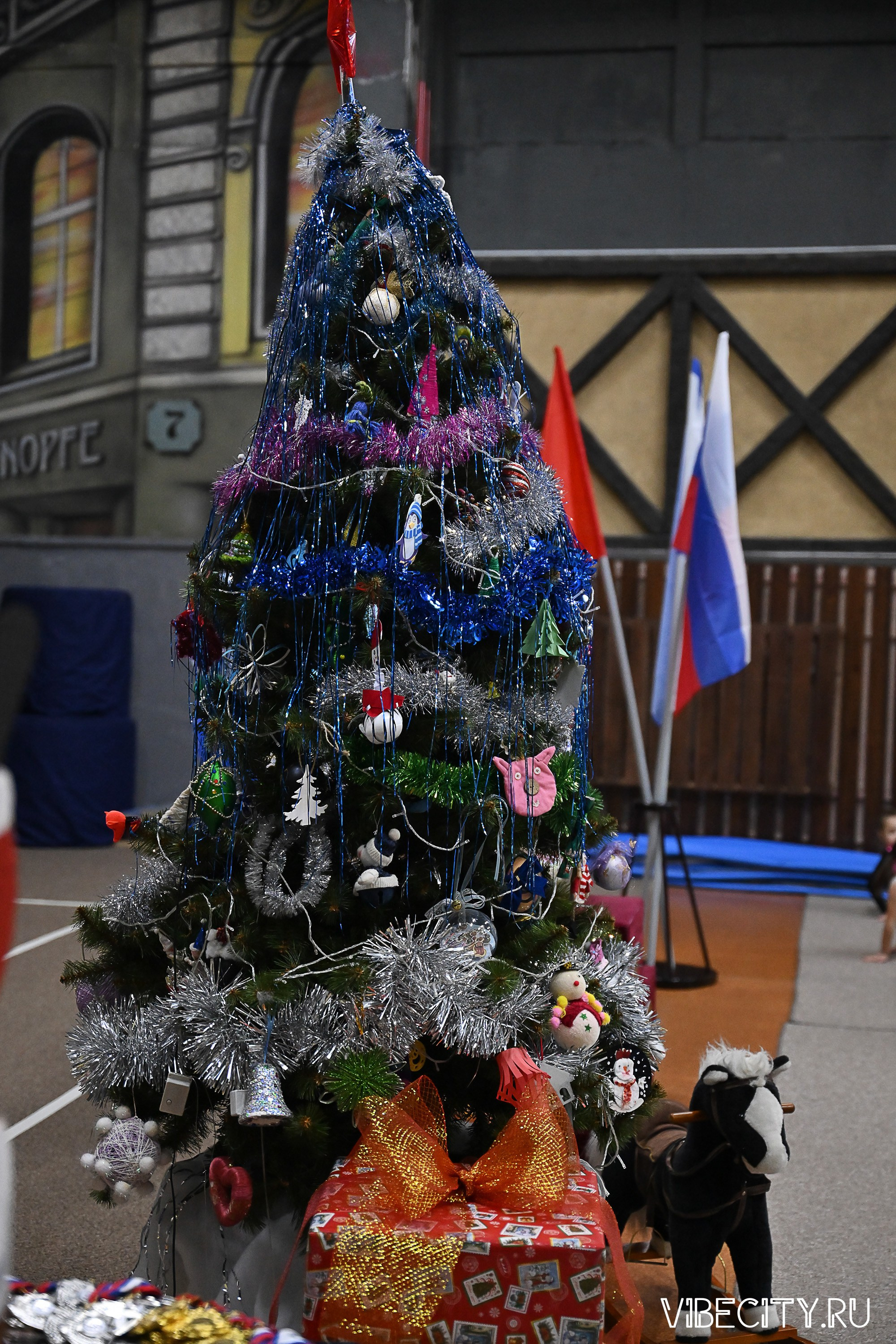 Контрольная тренировка по спортивной гимнастике. VIBECITY.RU Вайб Сити Ру Фоторепортажи Фотоотчеты Калининград