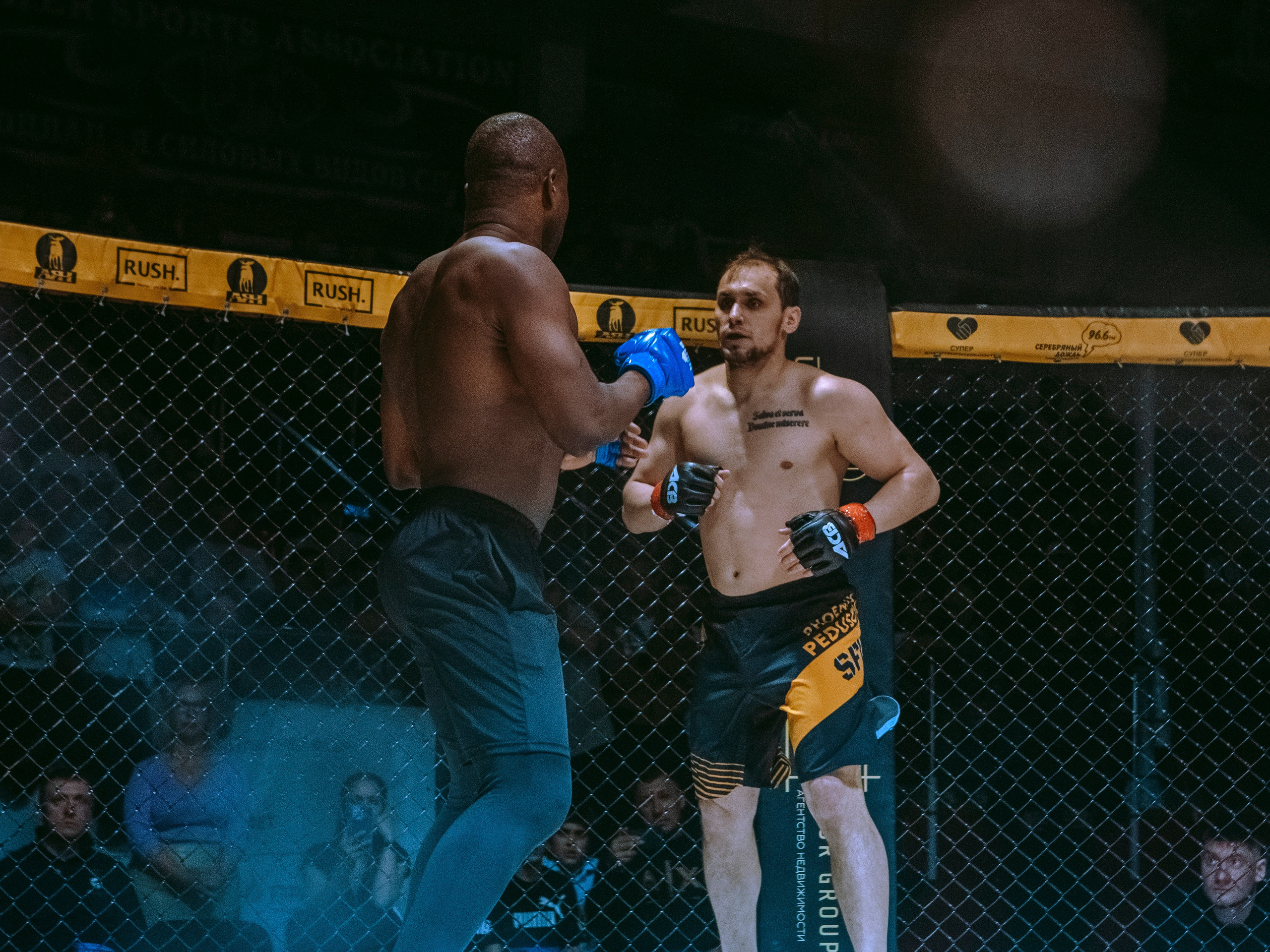 SFL 17 | Siberian Fighting League. Портретный фотограф в Москве Дарья Цезария