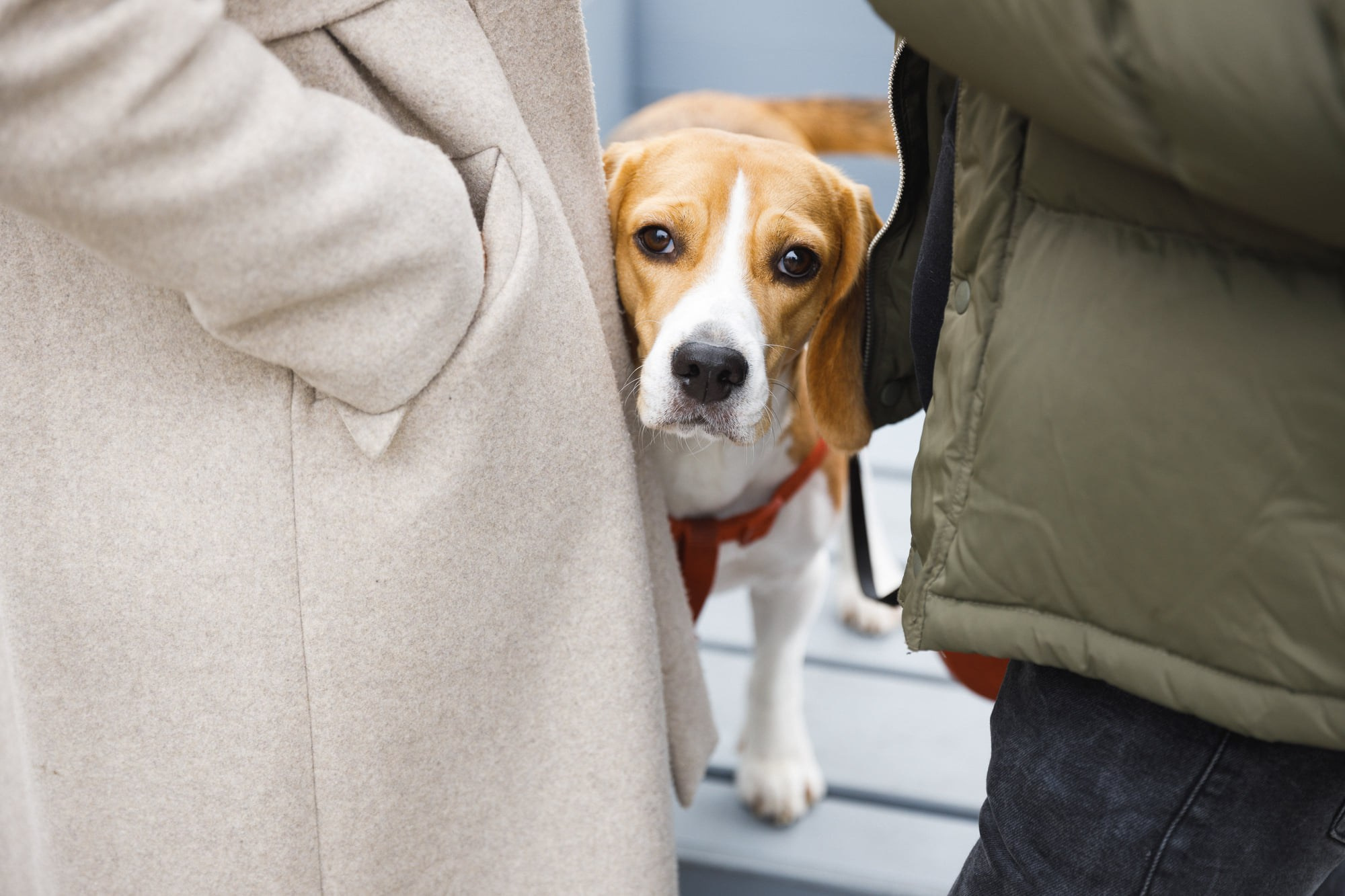 5 сентября 2021 на Даниловском рынке. Фотоотчеты «Ламбада-маркета»