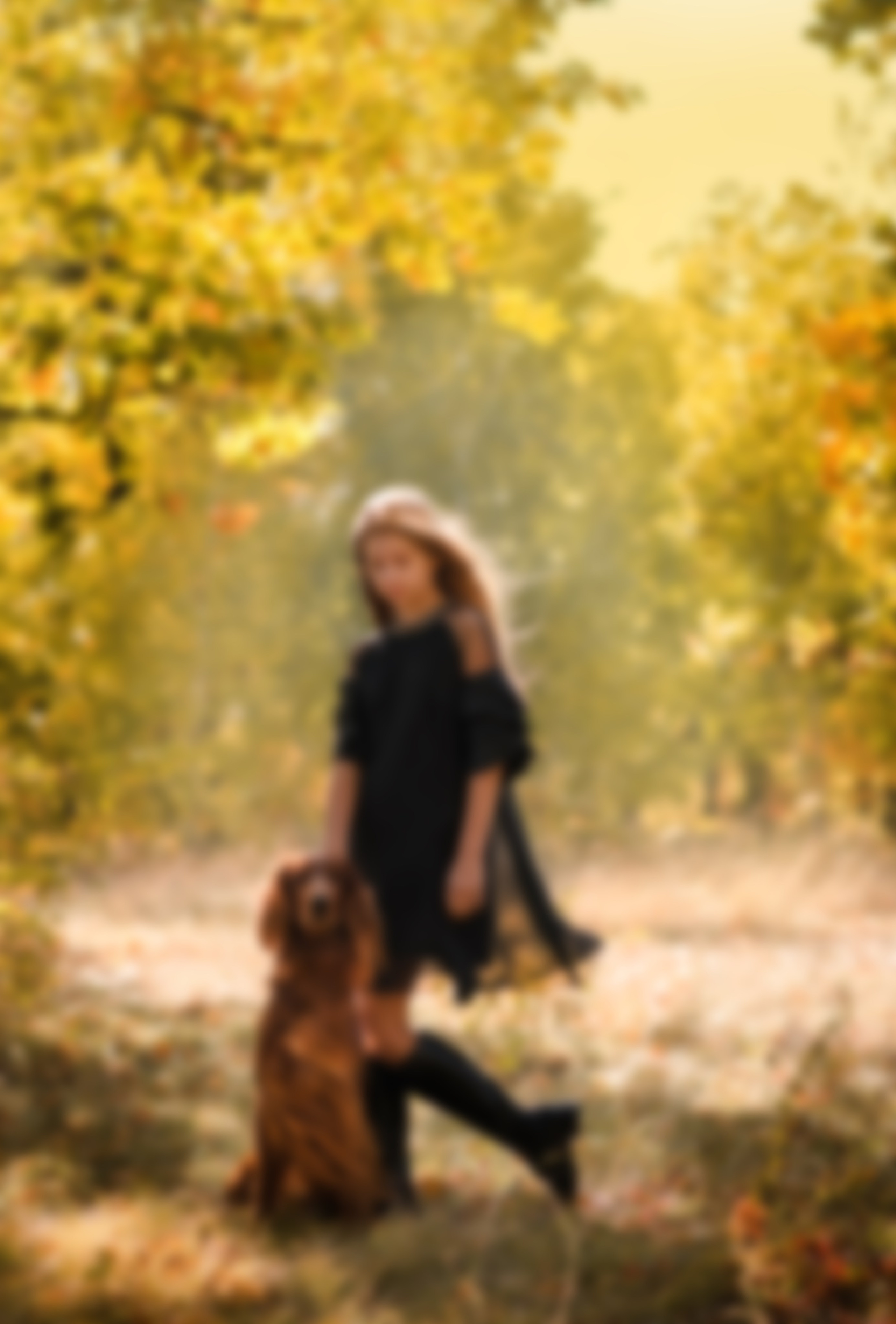 Разные фотосъемки. Конный фотограф в Саратове Юлия Иванова