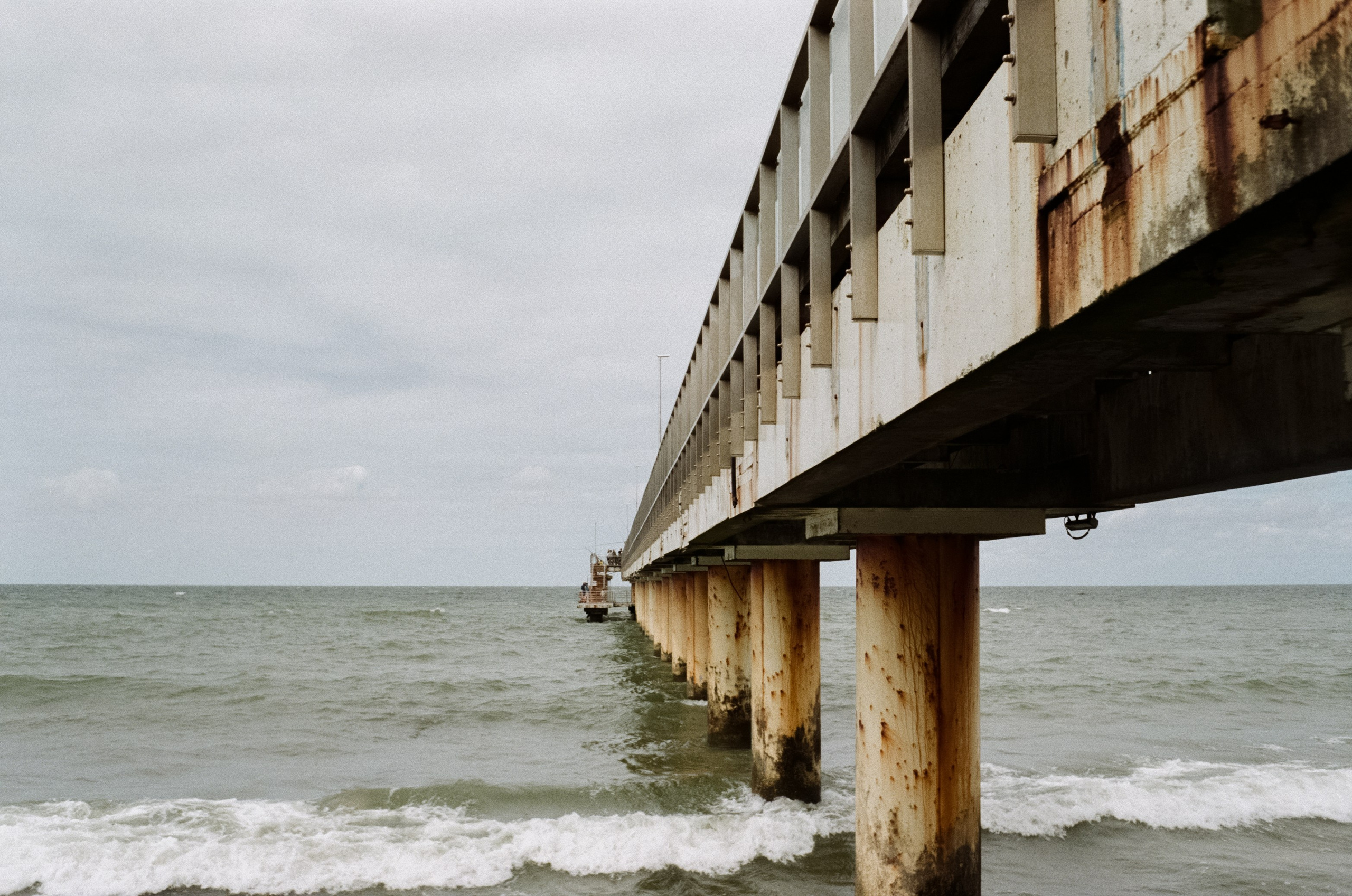 Калининград остров Канта, Кафедральный собор / Minox 35 GT (2)