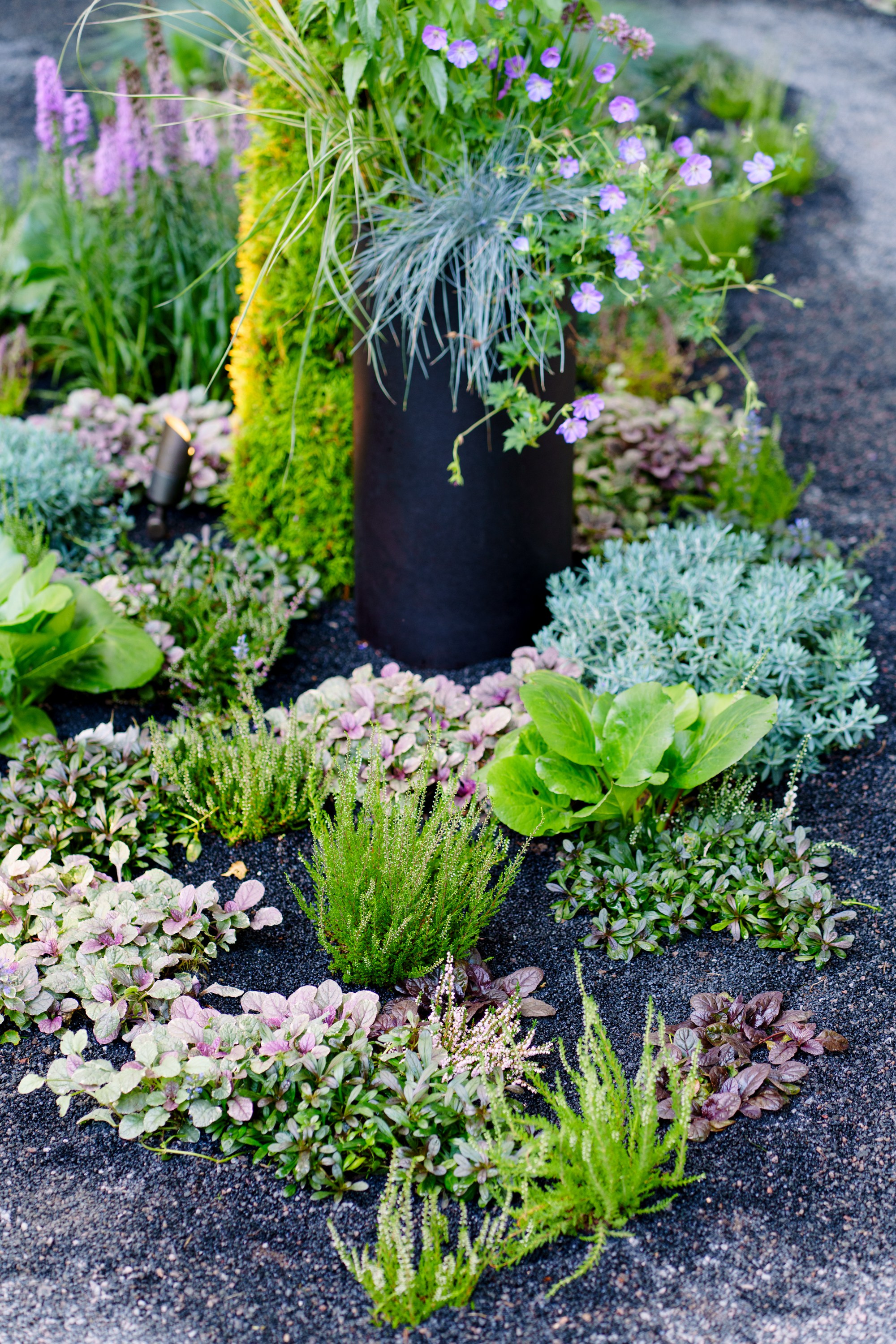 Сад Плеяд. Студия ландшафтного дизайна в Москве. Love My Garden