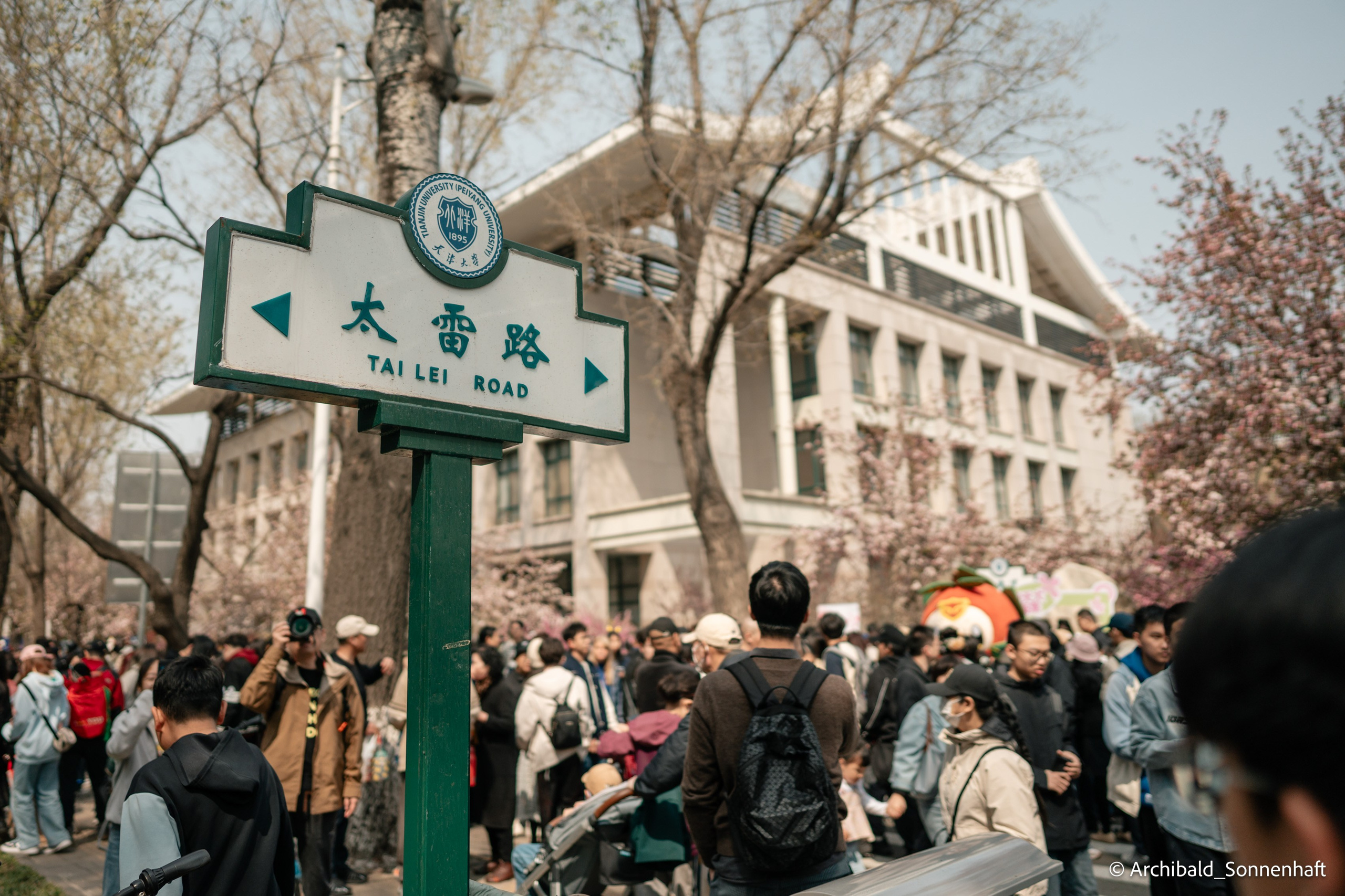 TJU blooming fest. Photographer in Guangzhou, China. Archibald Sonnenhaft