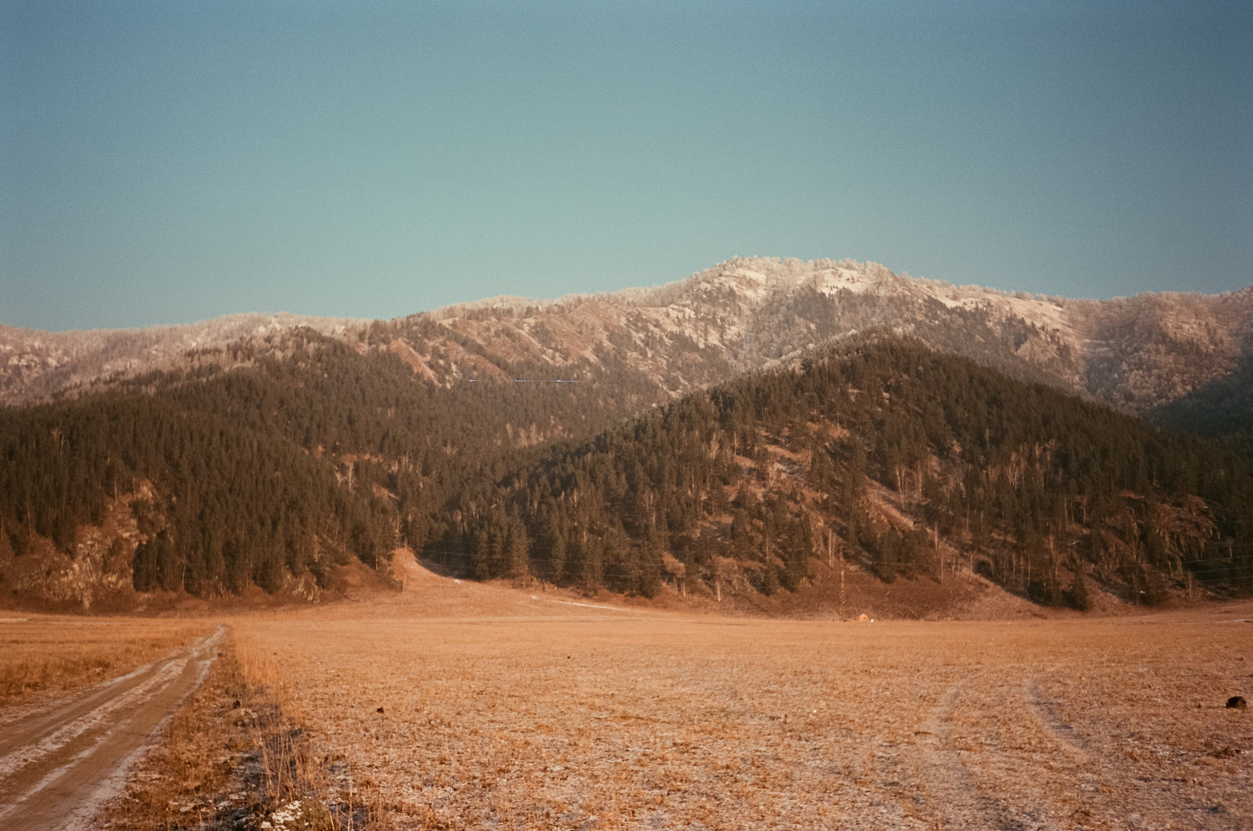 Утро на скалах Зубы Дракона. Чемал: поля и горы на закате. Фотограф-документалист Мария Осокина