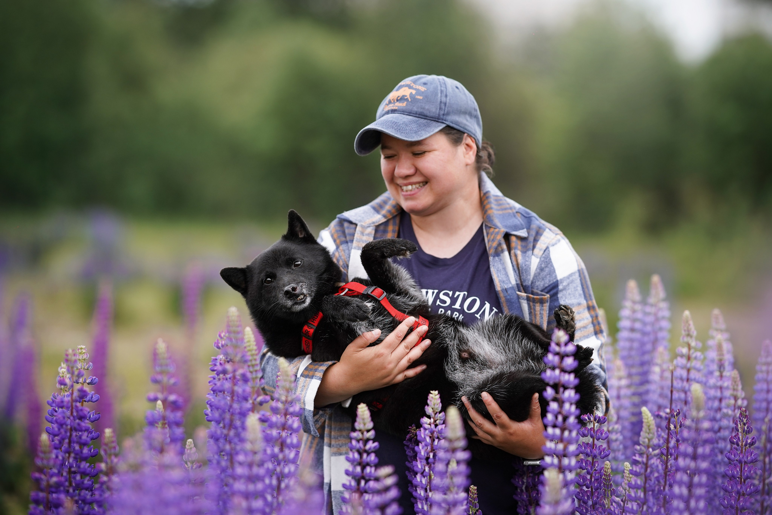 Аня Арчи и Панда в люпинах. Фотограф-анималист в Санкт-Петербурге Яна Мартынова