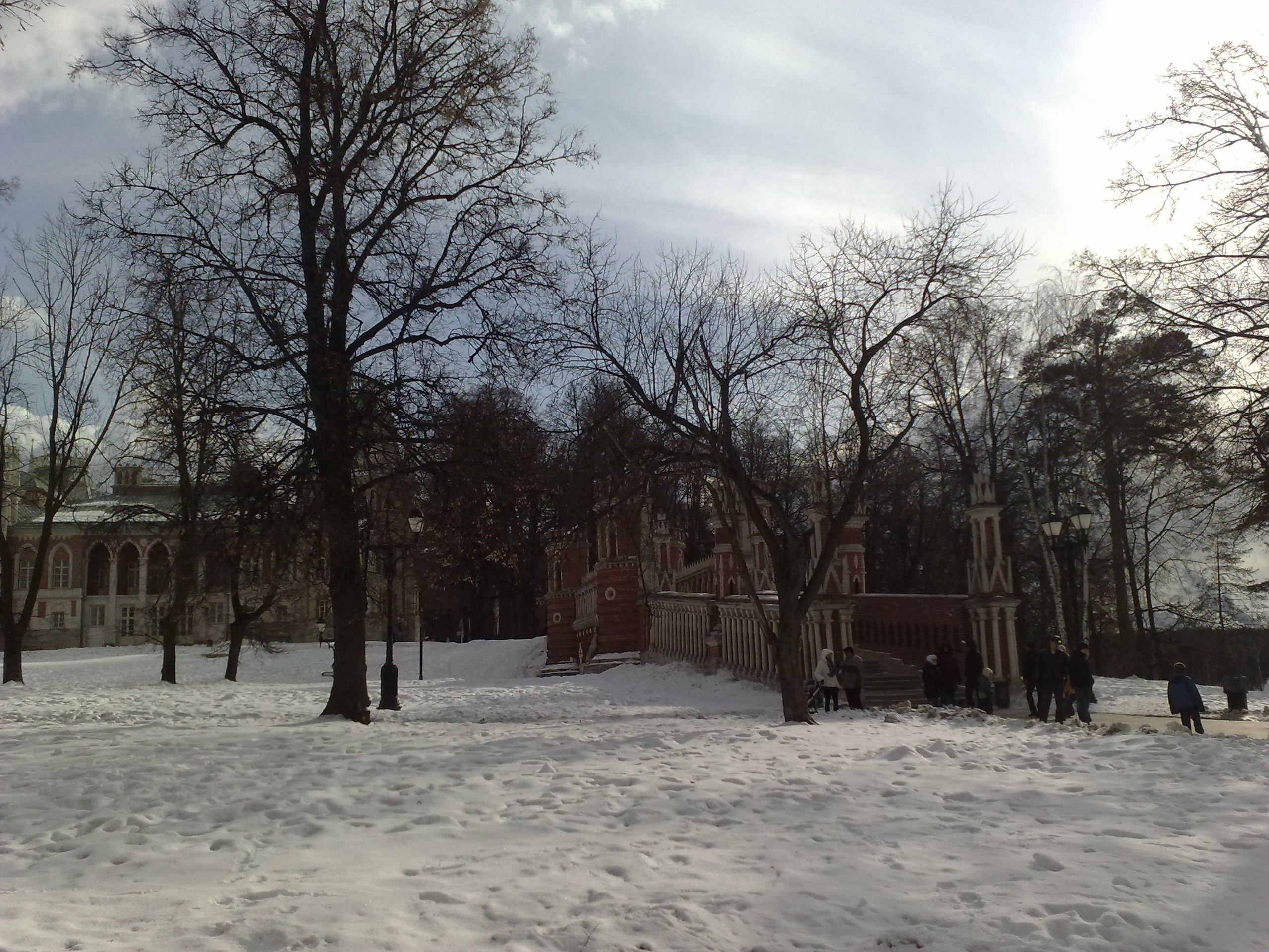 Царицино музей-усадьба. Питомник китайских хохлатых собак Poale Ell: купить щенка в питомнике