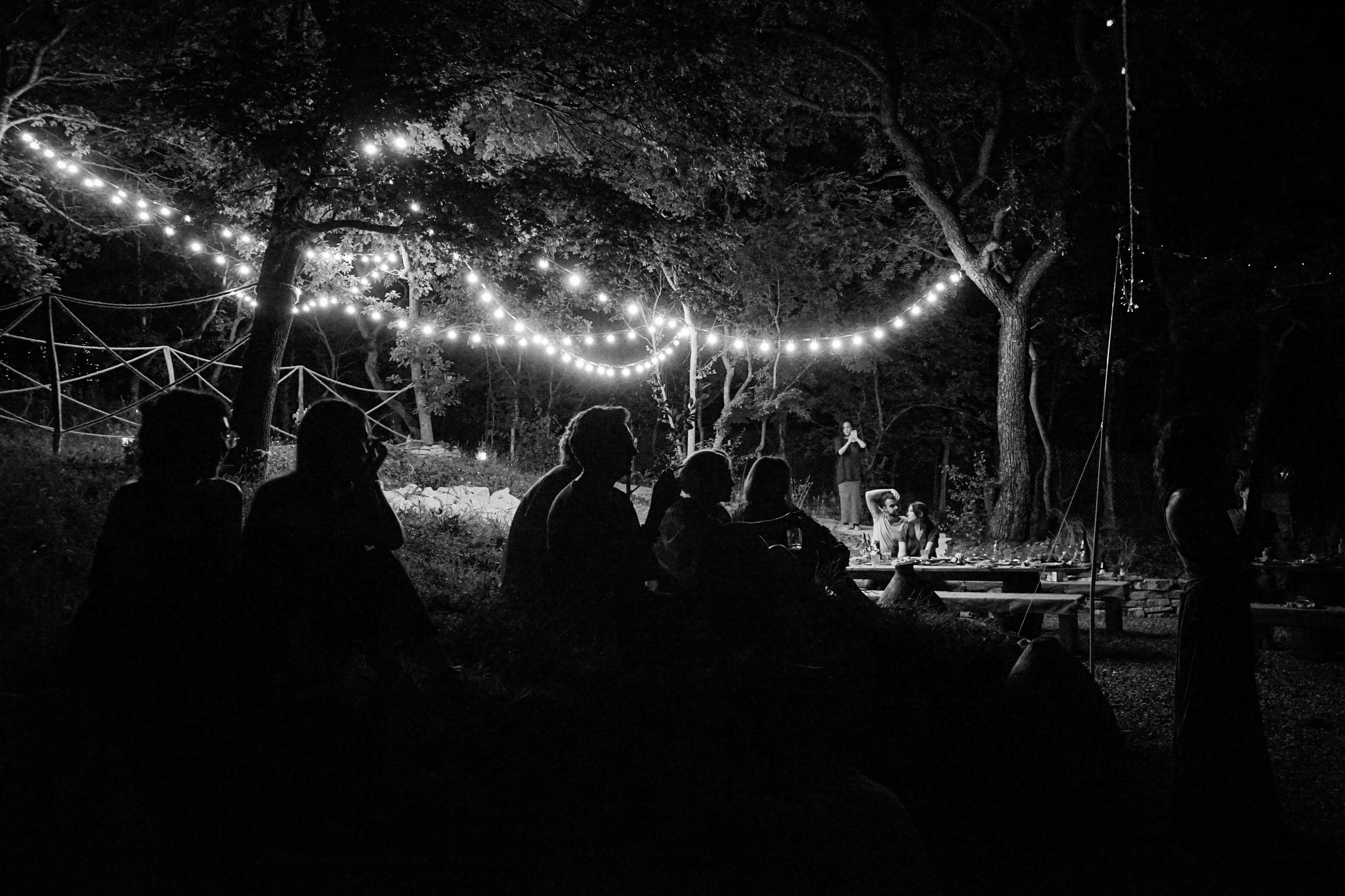 Свадебный фотограф в Грузии. Фотограф в Грузии ОАЭ | Nekit Fox