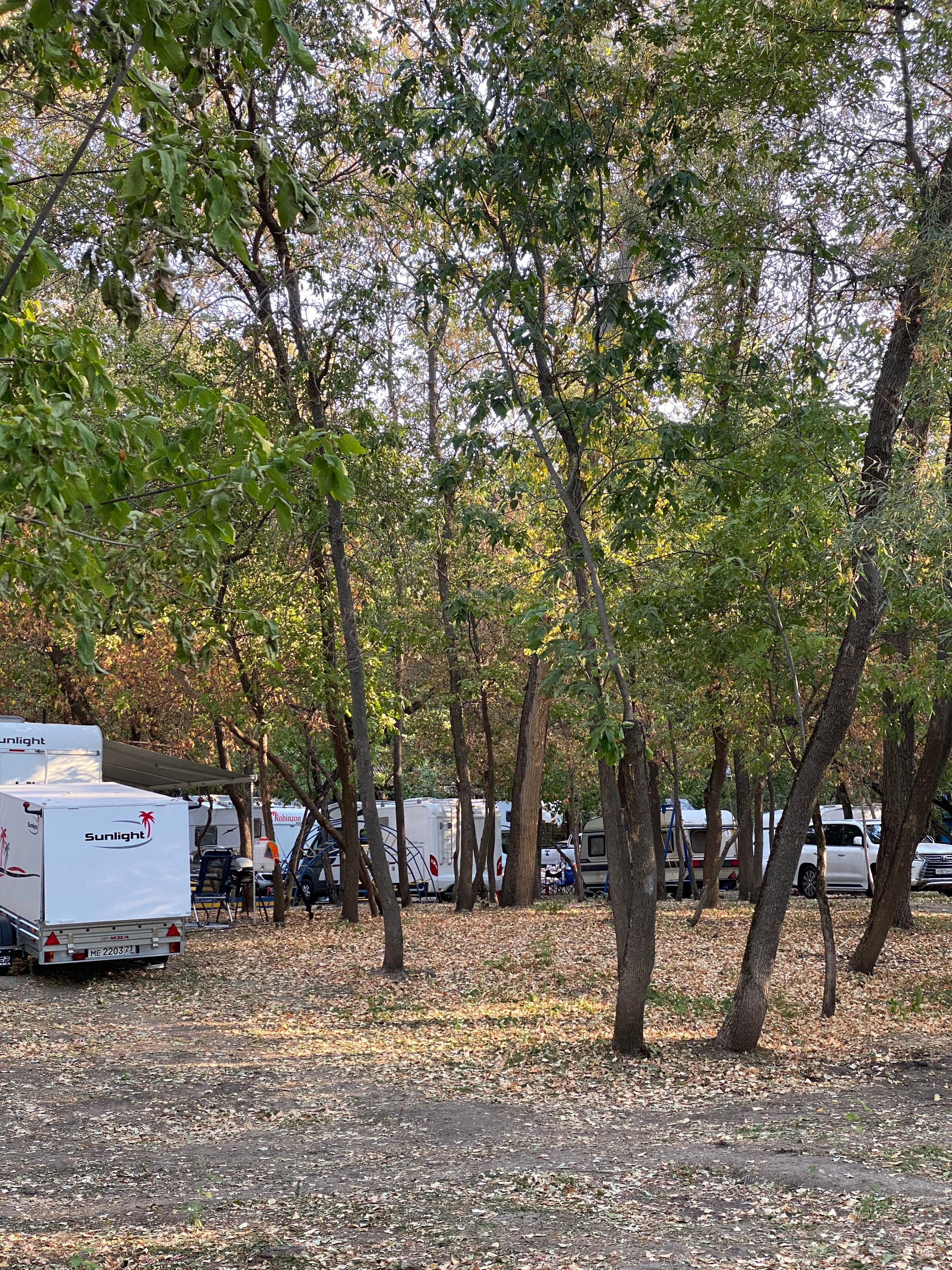 АбунаФест, Камышовый Рай — 20. Своя Мастерская