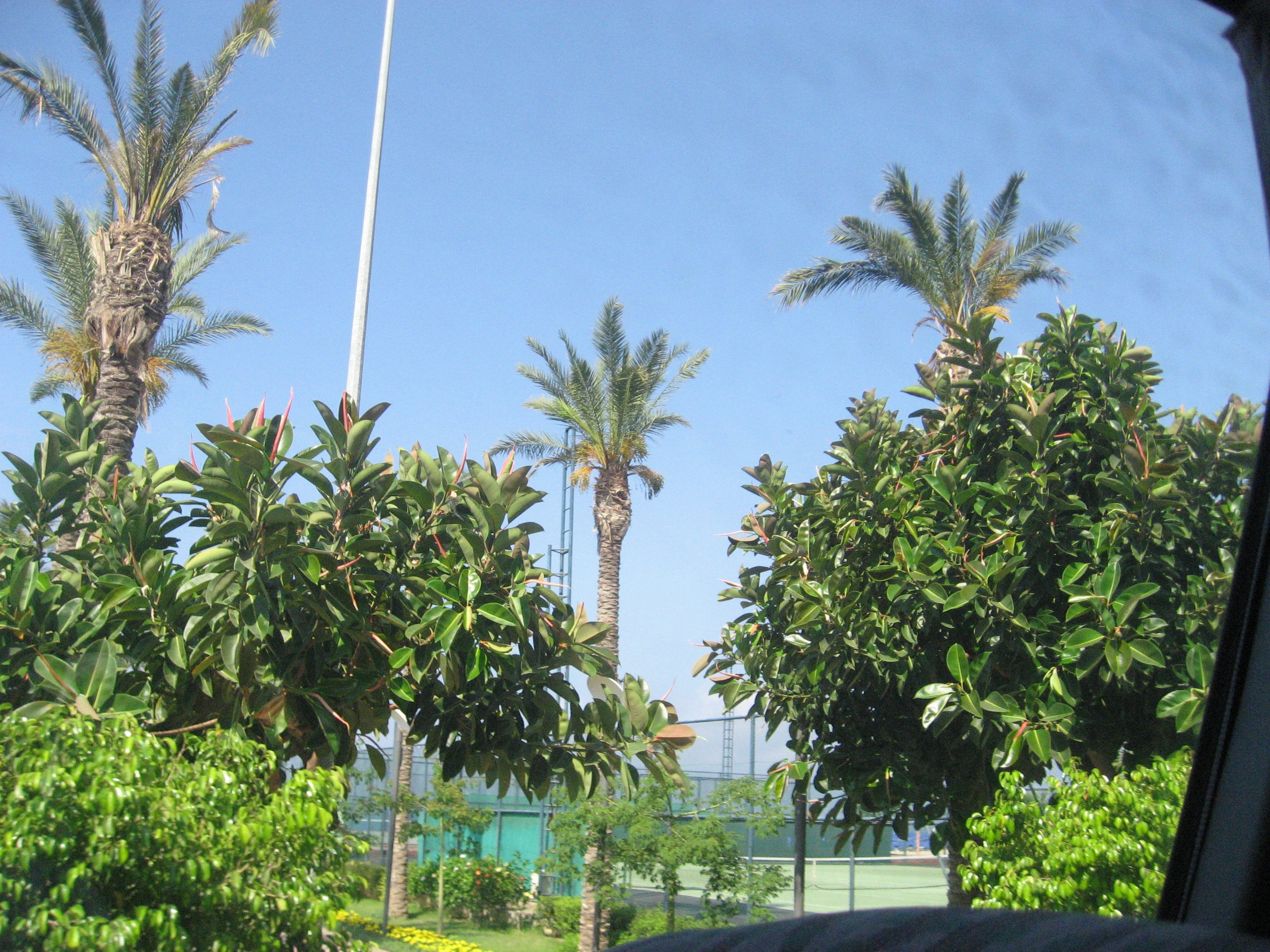 Турция. Главная