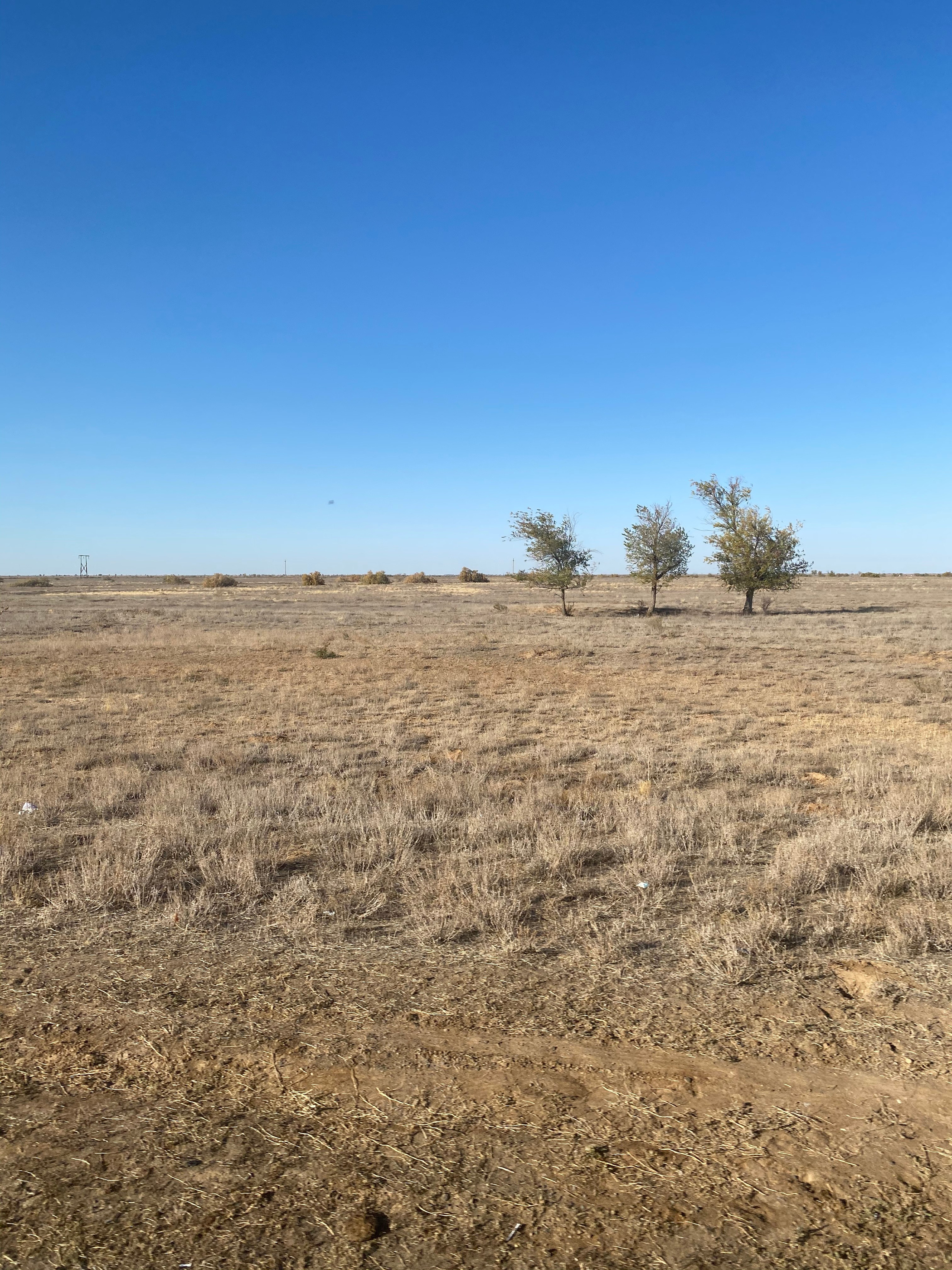 Астрахань — 20. Своя Мастерская