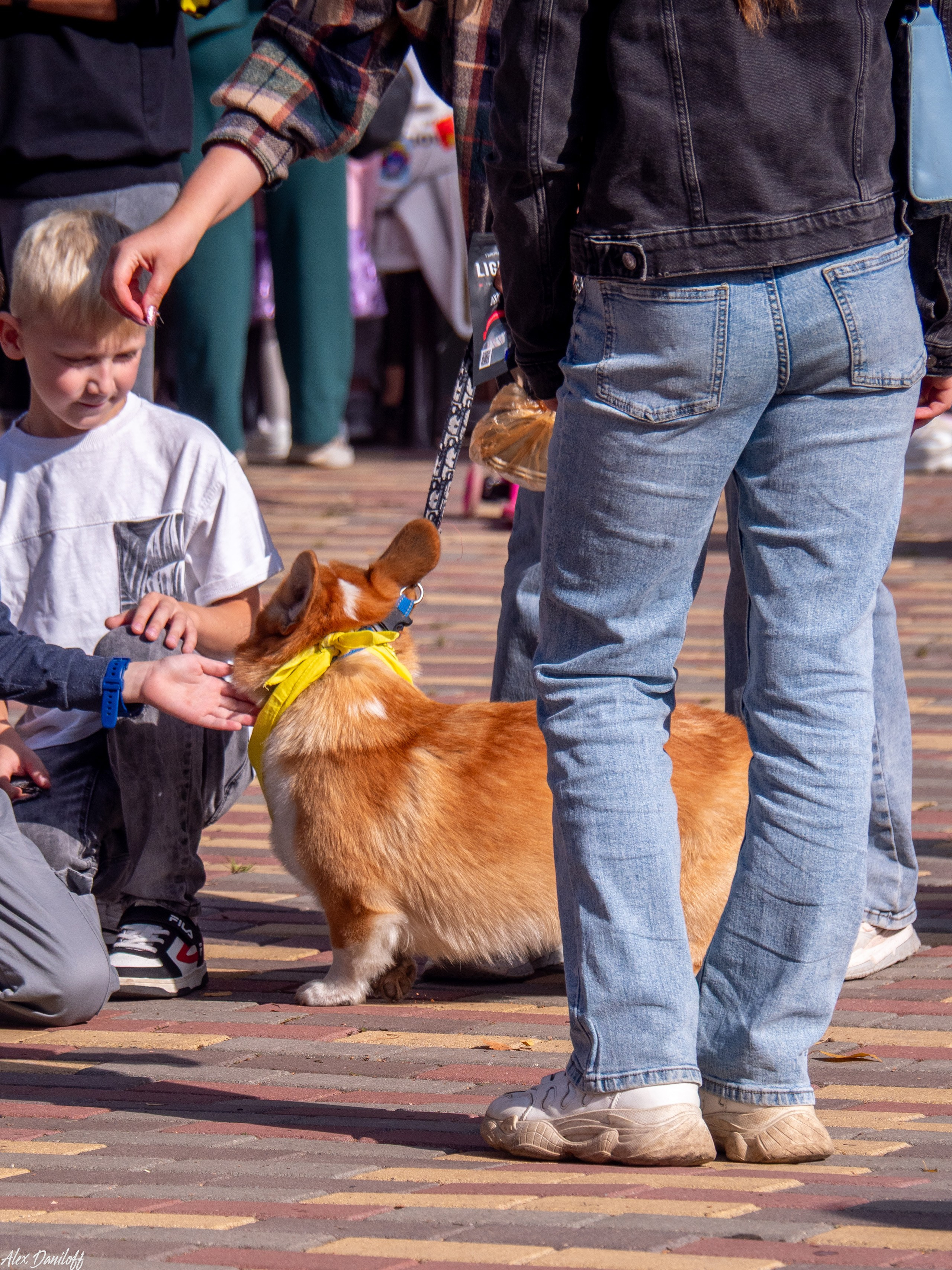 Обнимака 2025. Муром-Инфо. Новости культуры, образования, спорта в городе Муром