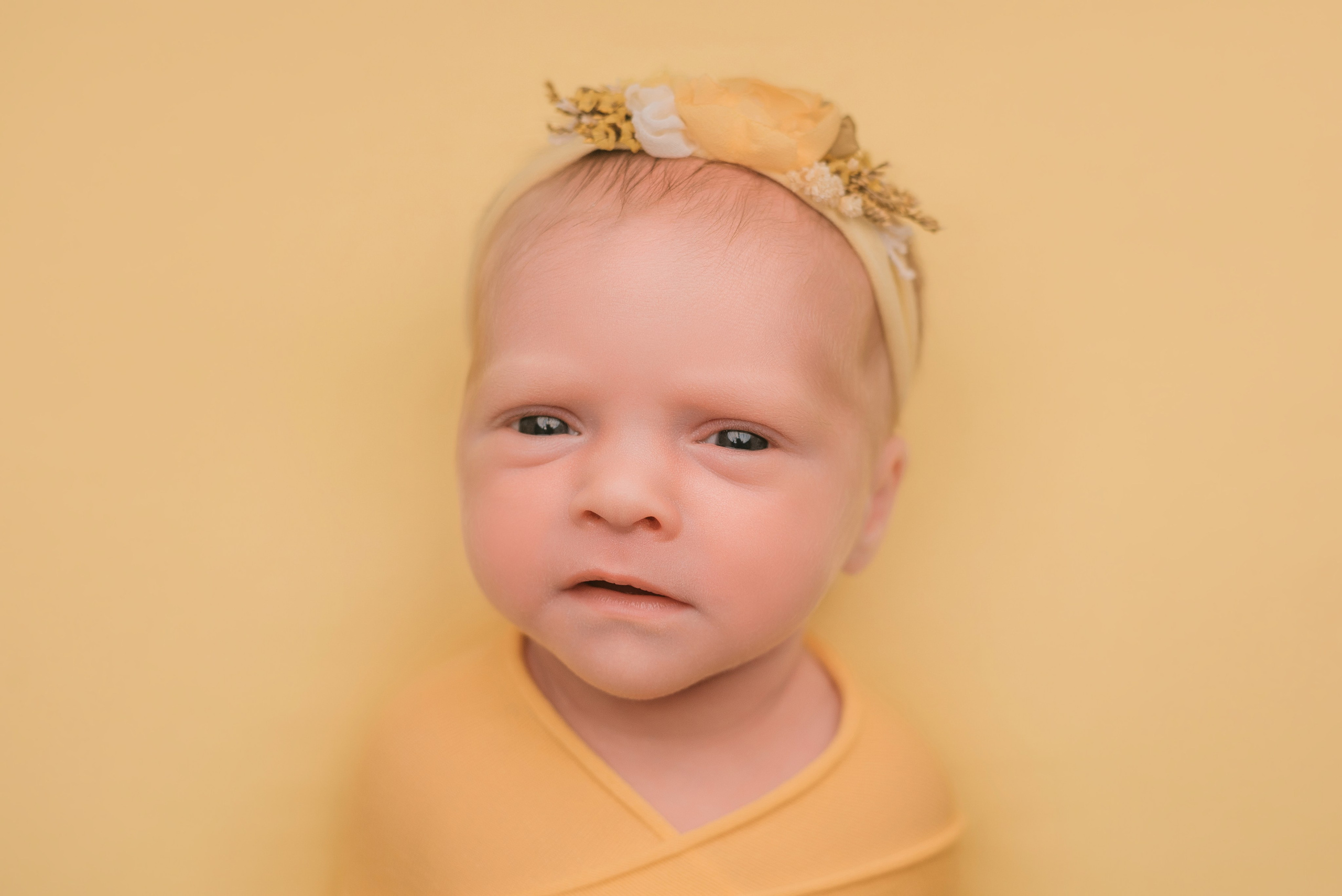 Таисия и Иванна. Фотограф новорожденных Белгород