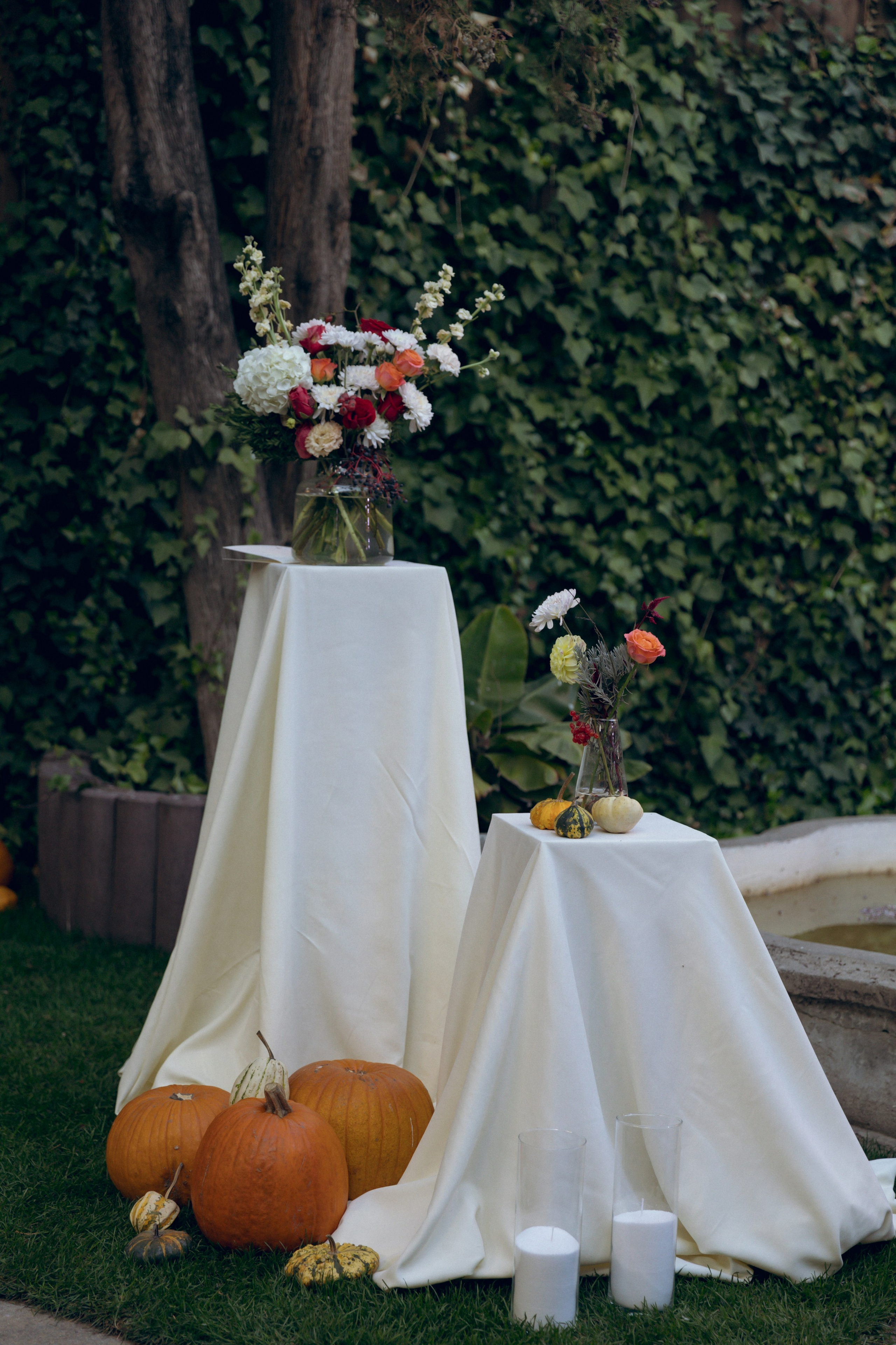 Николай и Юлия, 26 октября 2024. Свадебный  и семейный фотограф в Краснодаре