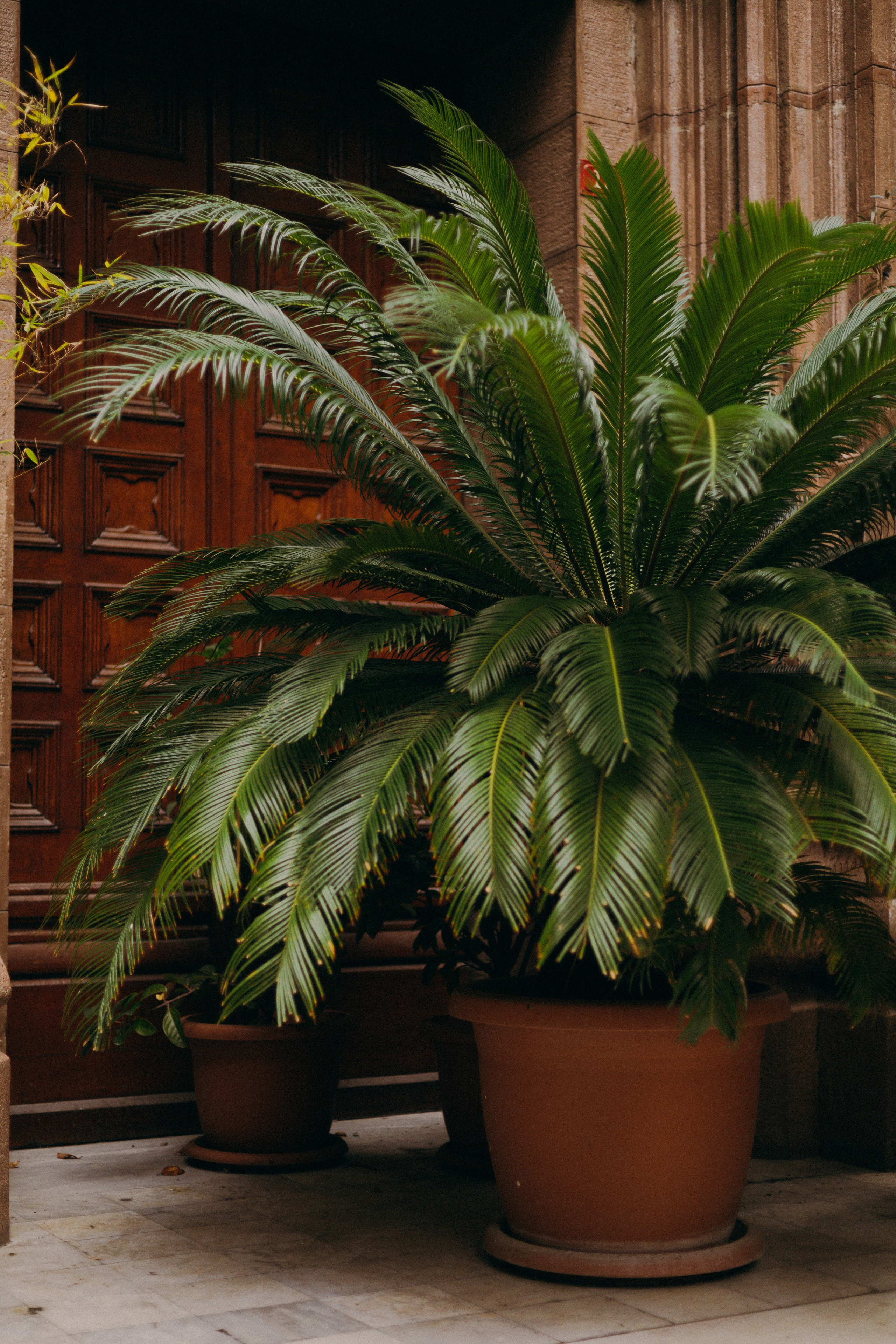 Стамбул. Профессиональный Фотограф во Владимире, в Москве и в Суздале — Полина Романычева