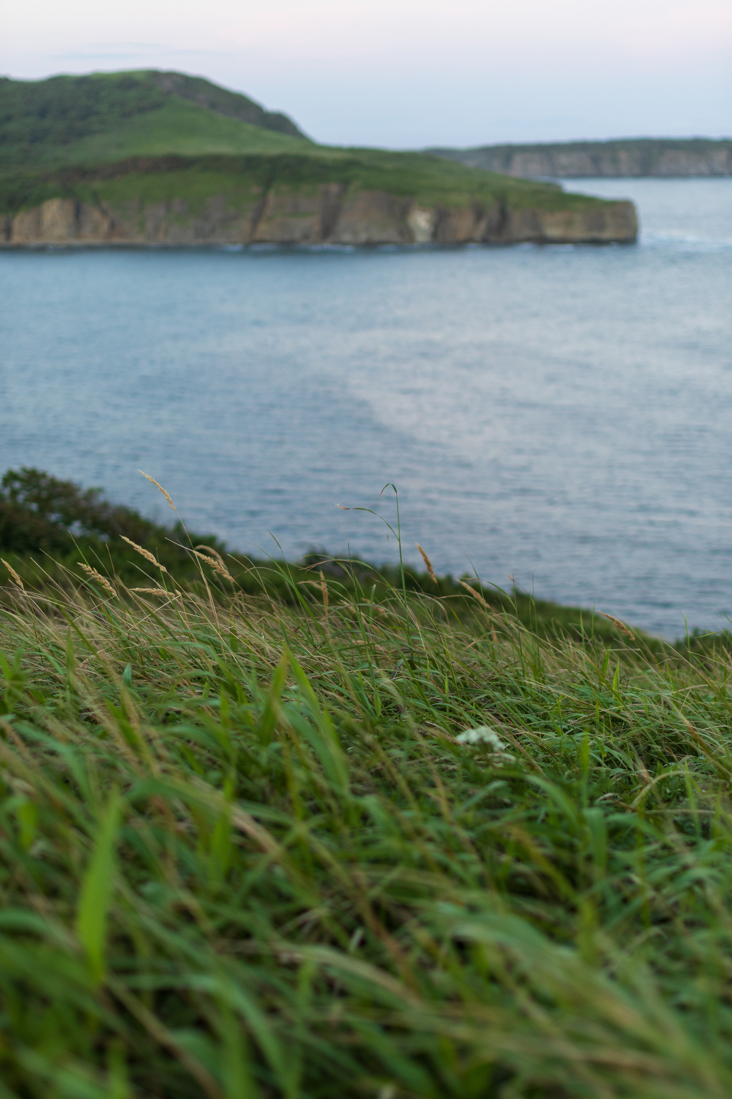 Летний вечер. Константин Кириченко