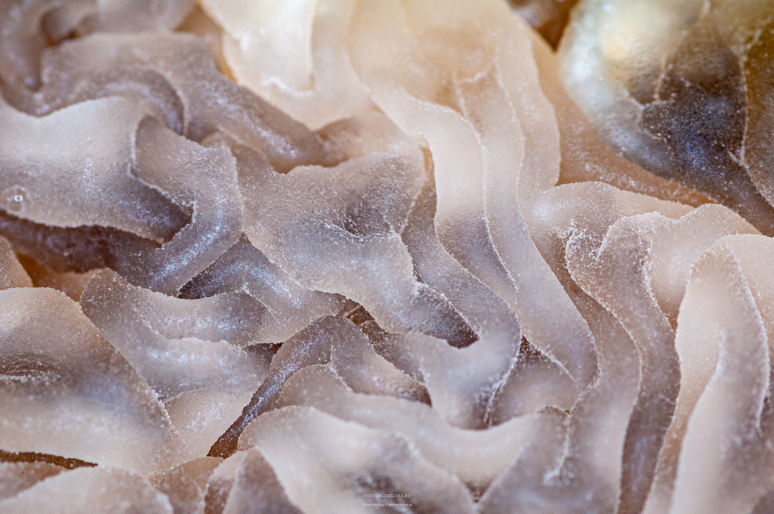 Осязаемая красота. Авторские стильные фотокартины