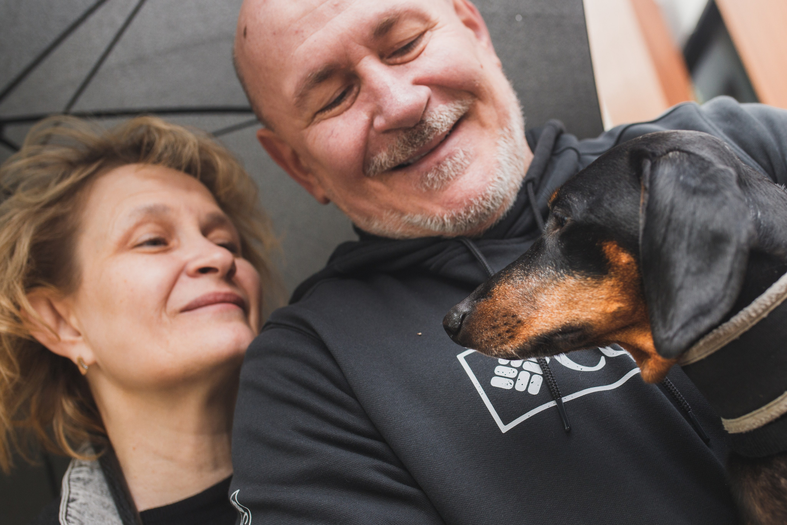 Фотопрогулка большой семьи с двумя собаками летом. Семейный и школьный фотограф в Москве Анна Ткач