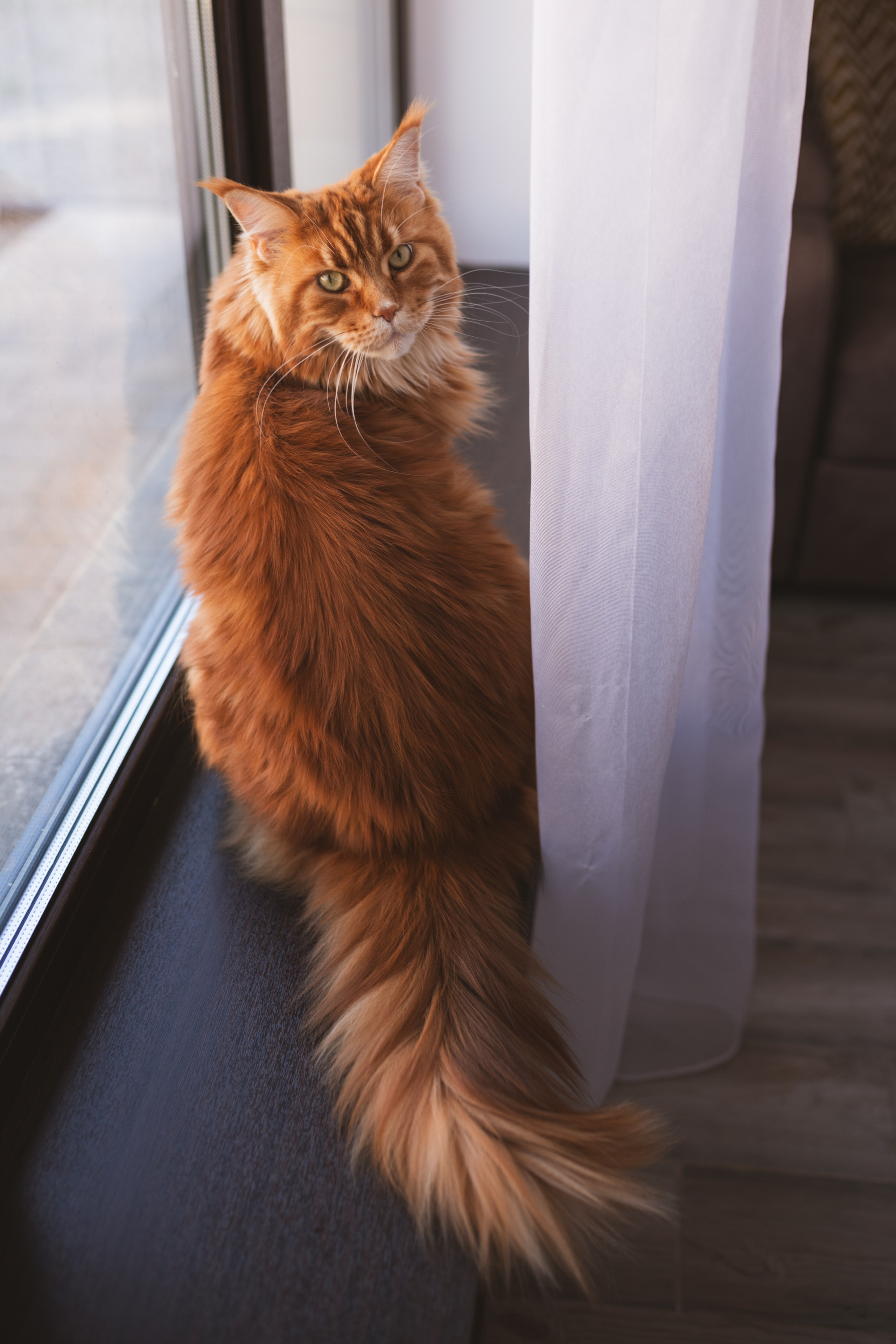 Ярослав 1 годик. Кобякова Мария. Фотограф новорождённых и детей до года город ИРКУТСК